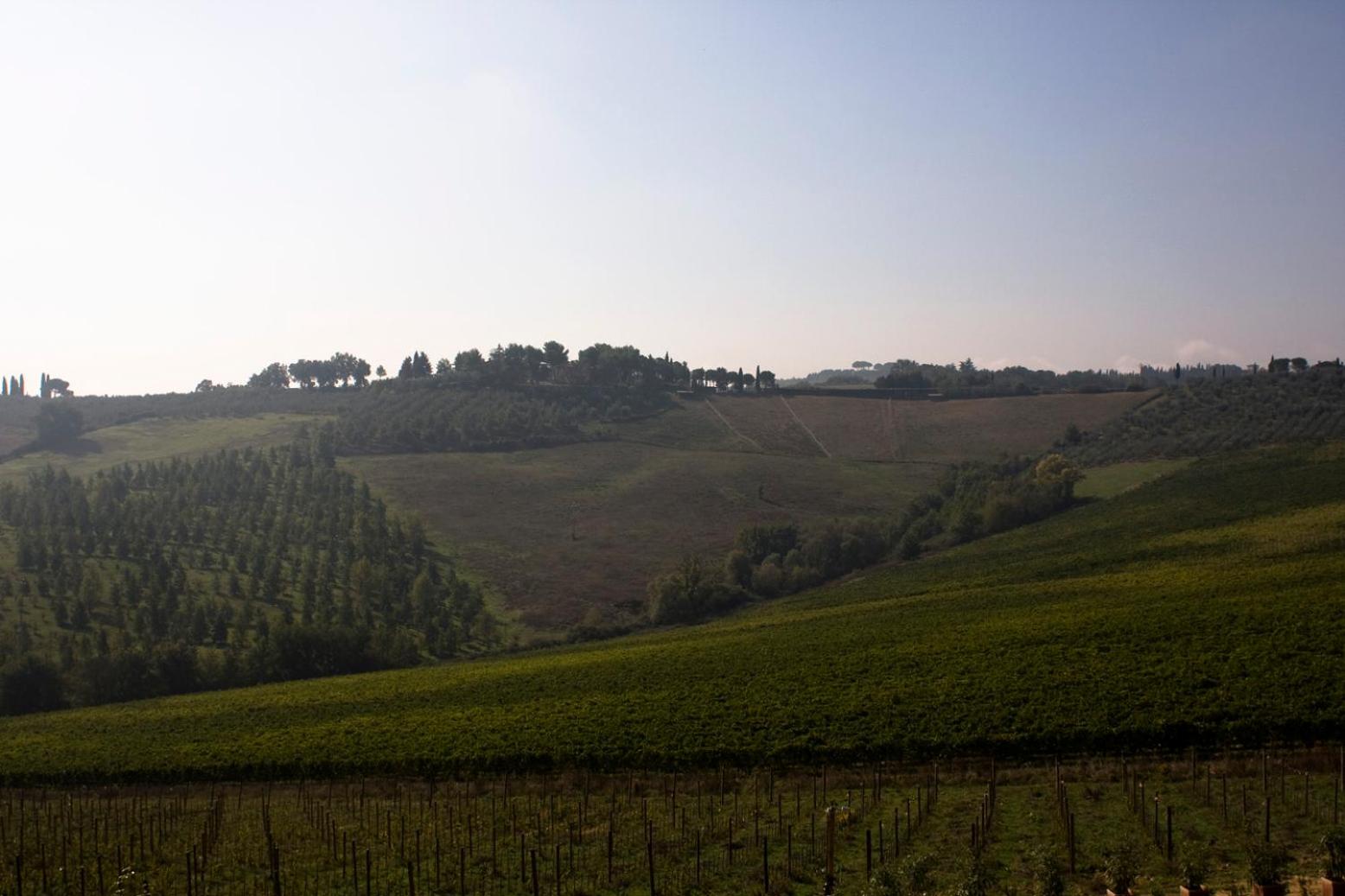 Villa il Castagno Wine & Resort