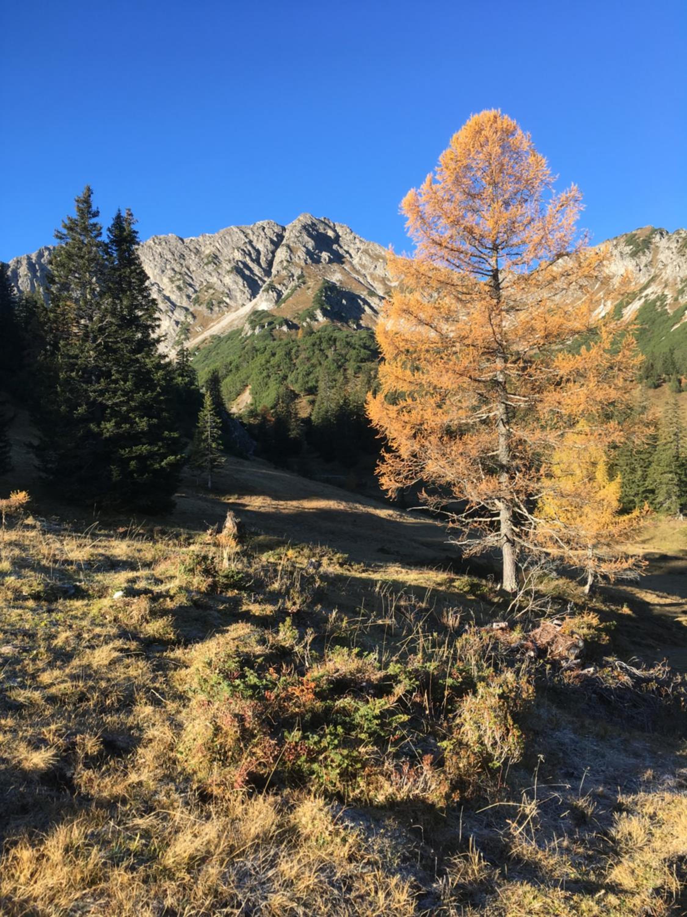 Appart Tramontana