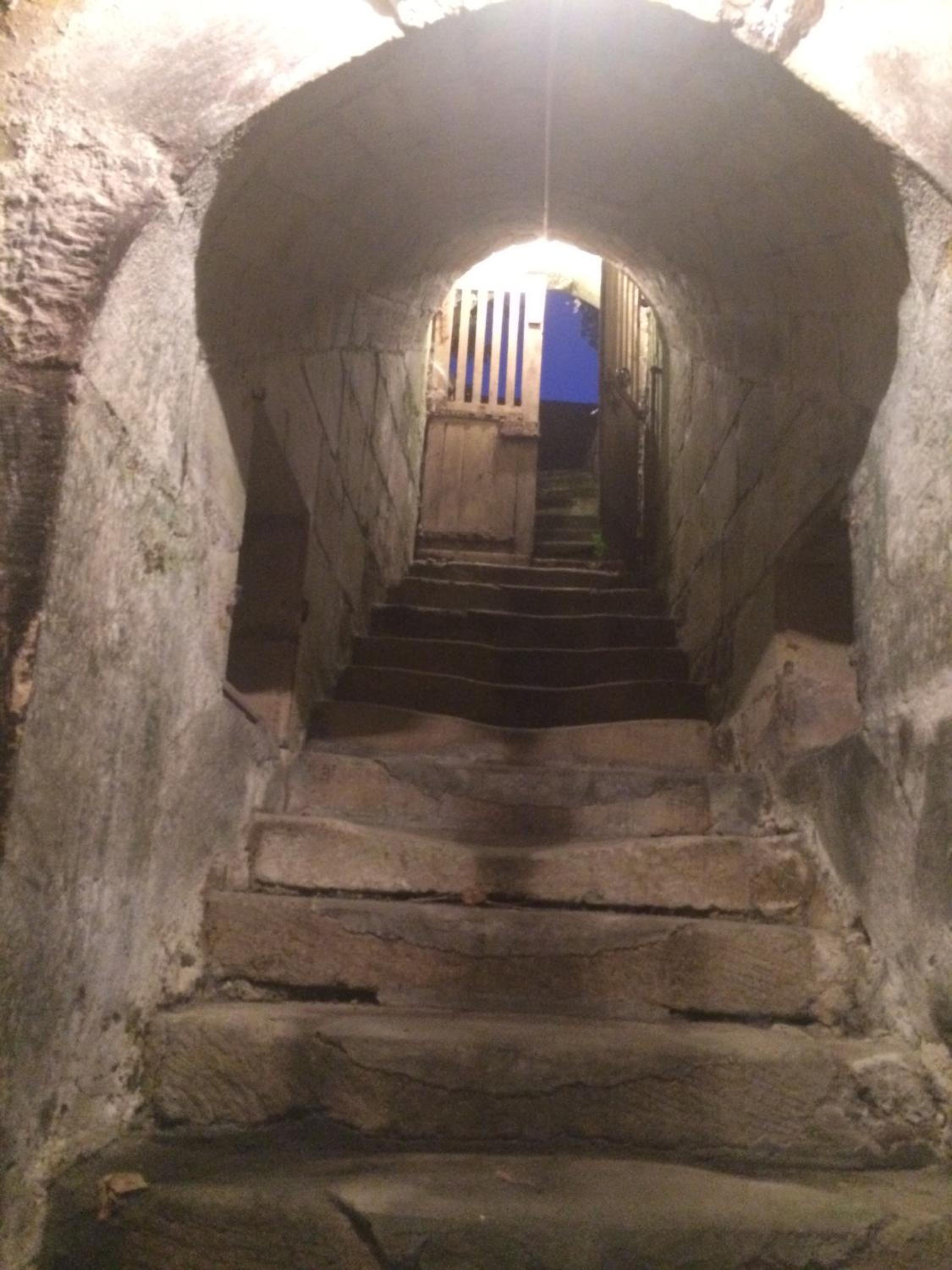 Photo 28