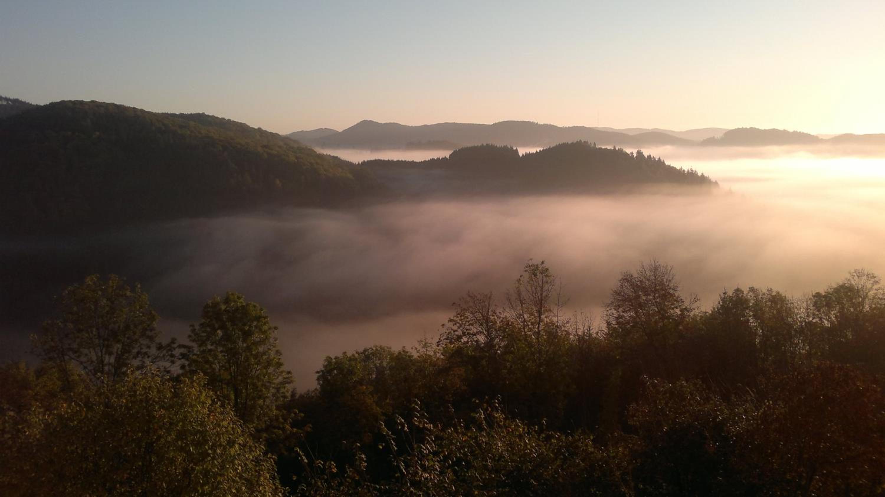 Schloß Wittgenstein, photo 17