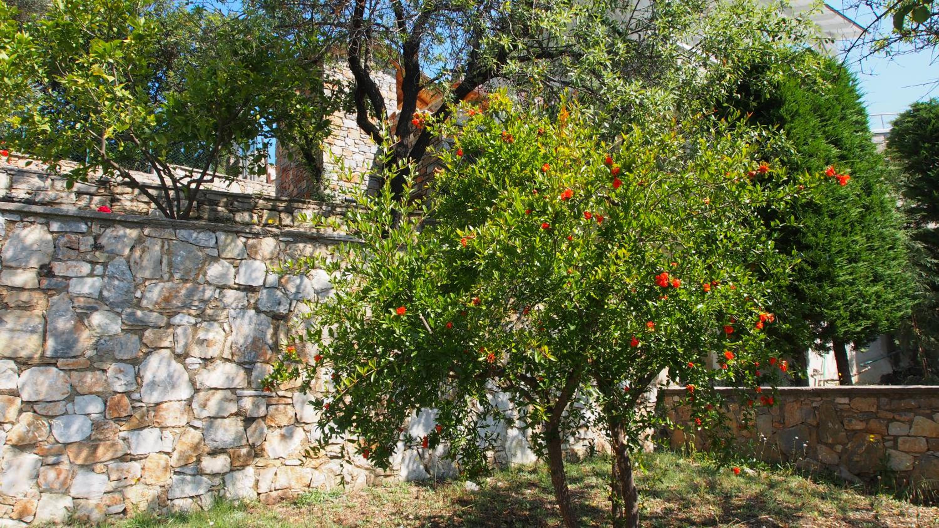 Villa Paparouna
