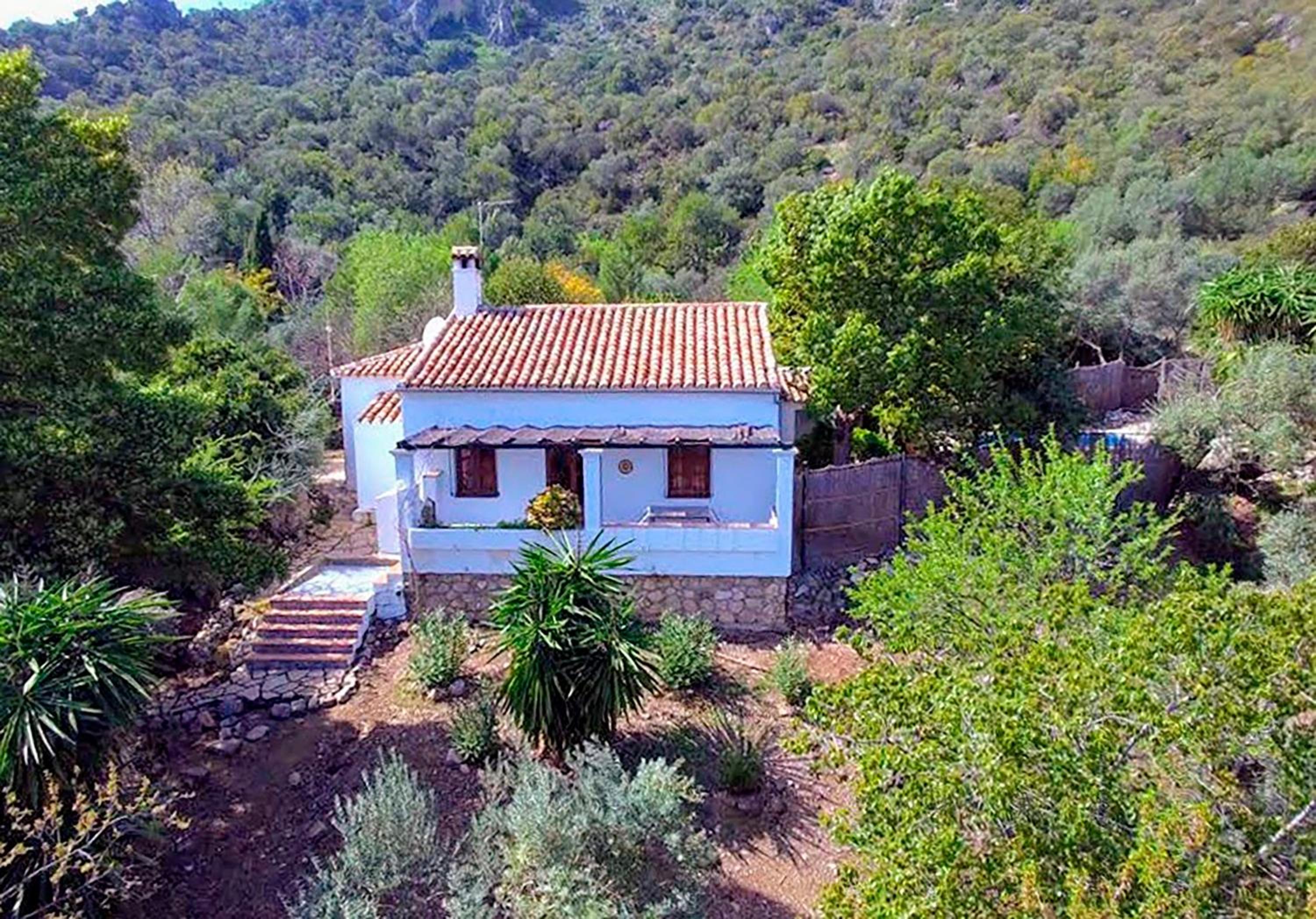 Casas Rurales Los Algarrobales view 5