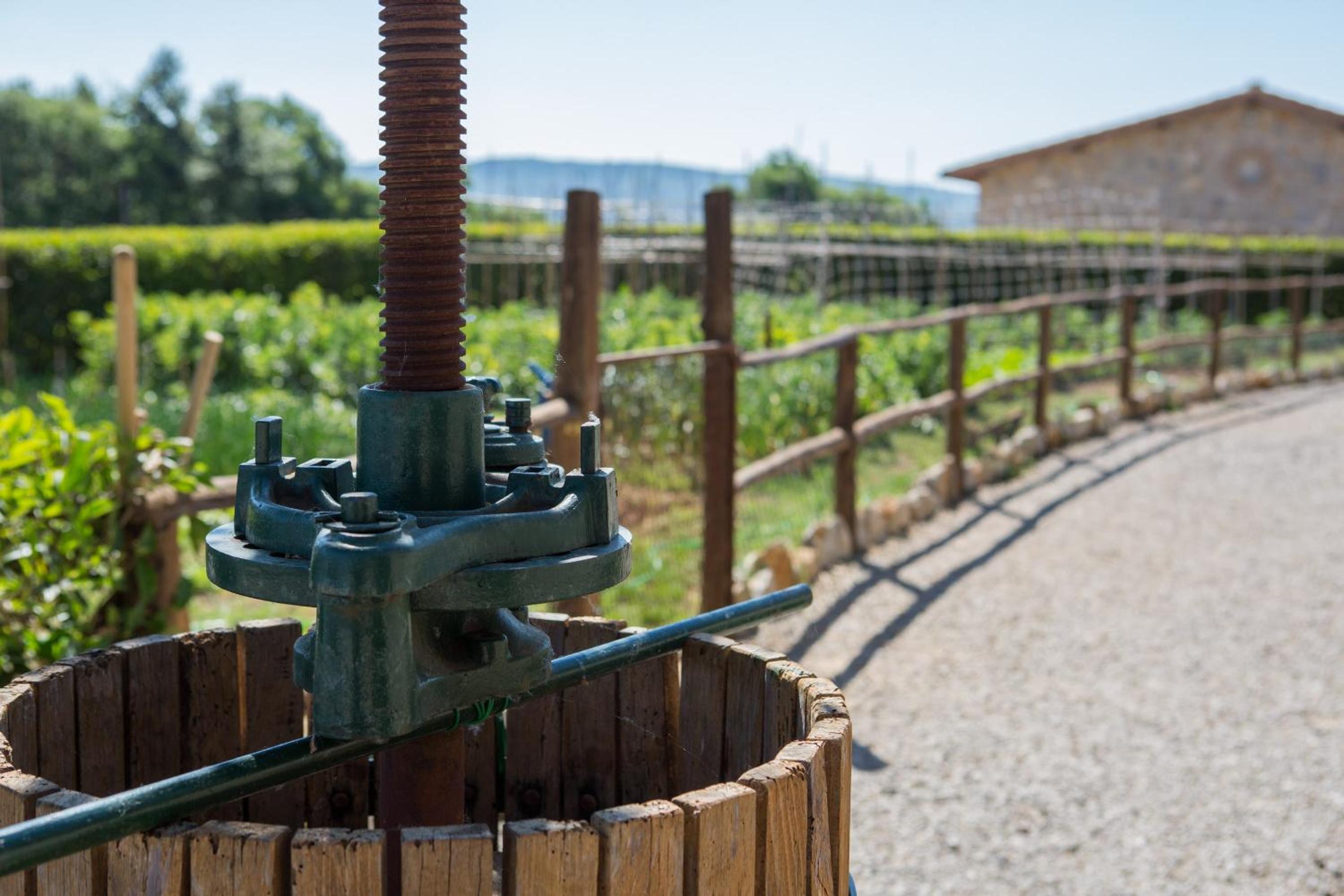 Agriturismo Borghetto Il Montino