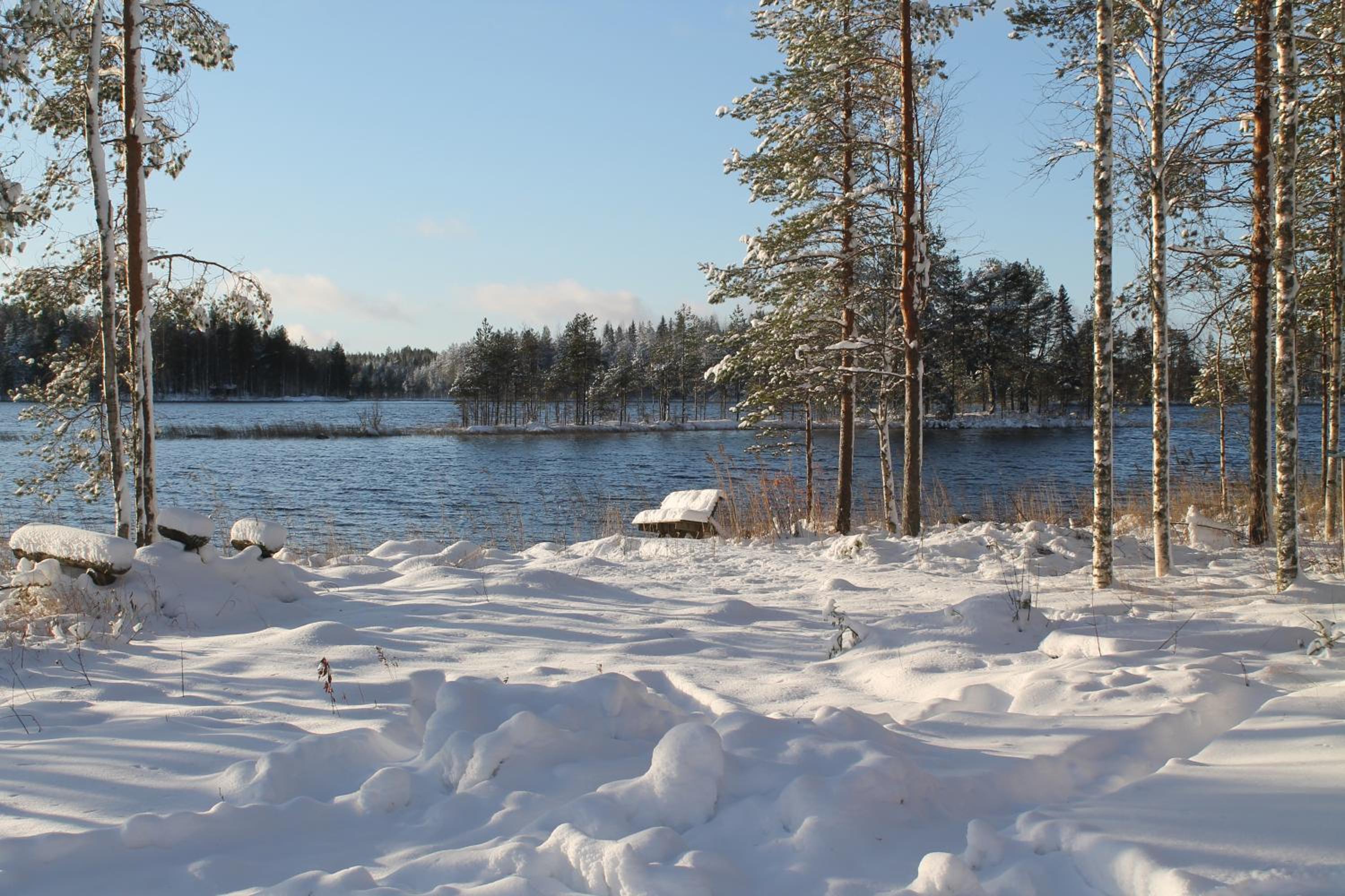 Lake Cottage Koivuniemi