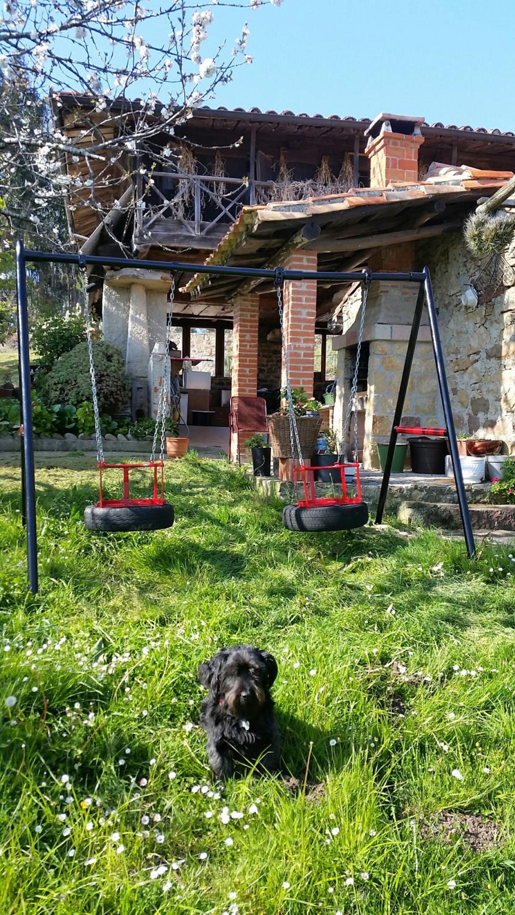 Photo 15