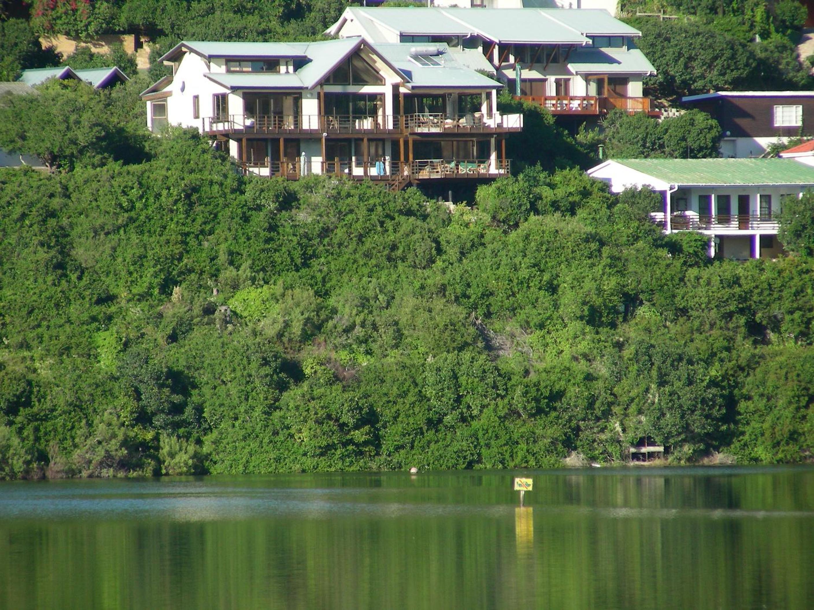Sedgies on the Water
