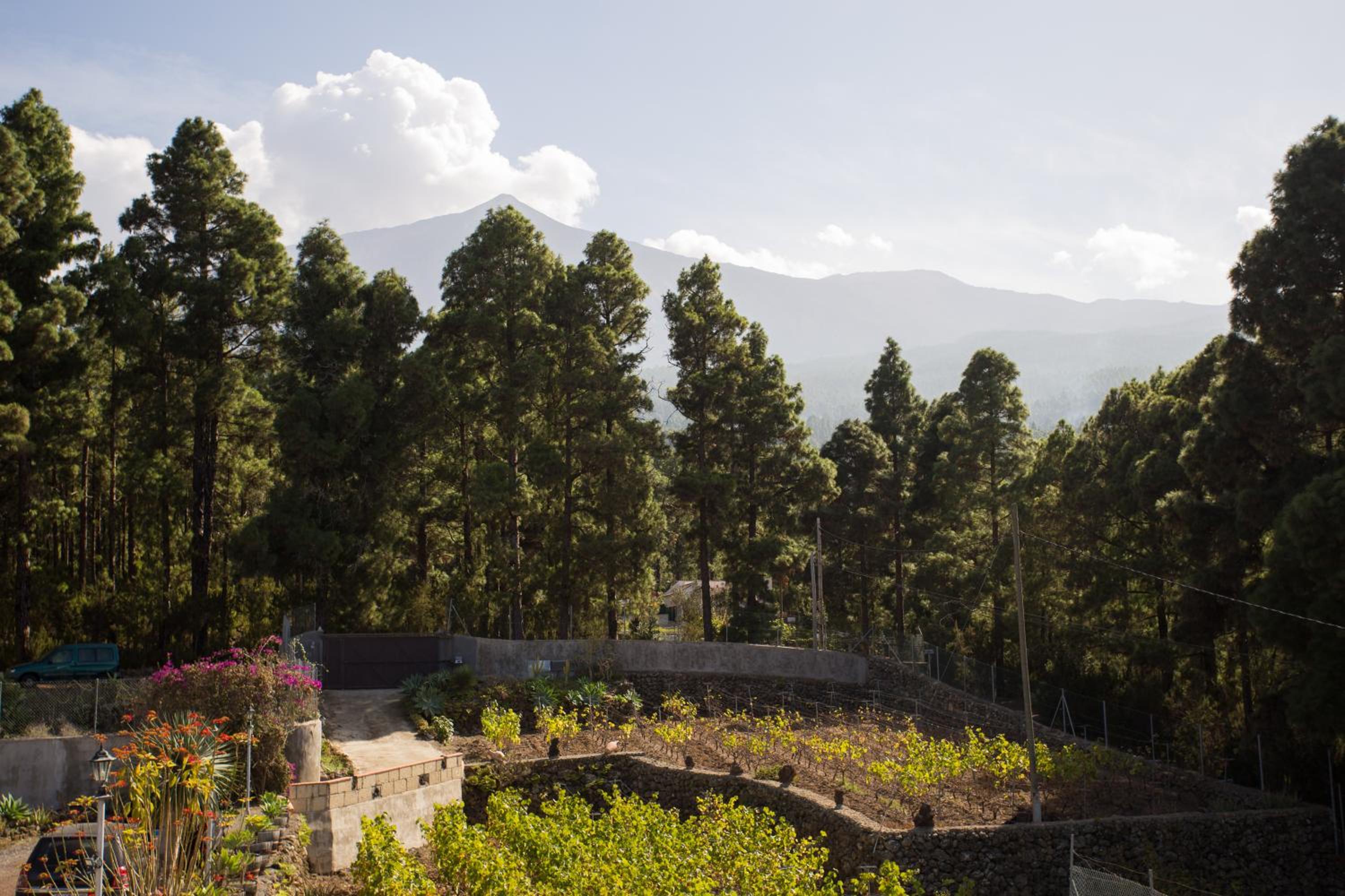 Finca Casa Yaya
