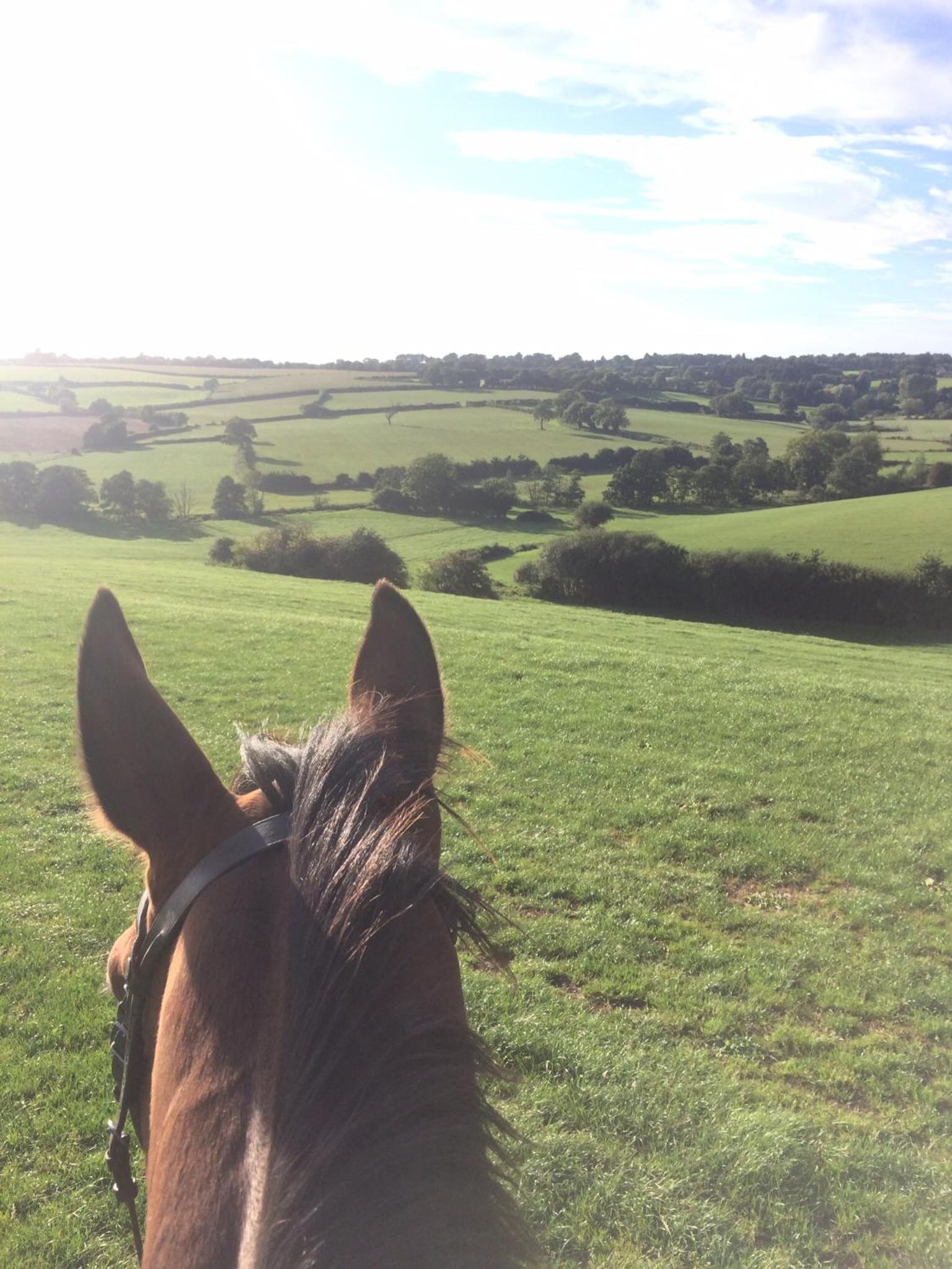 Church Farm view 5