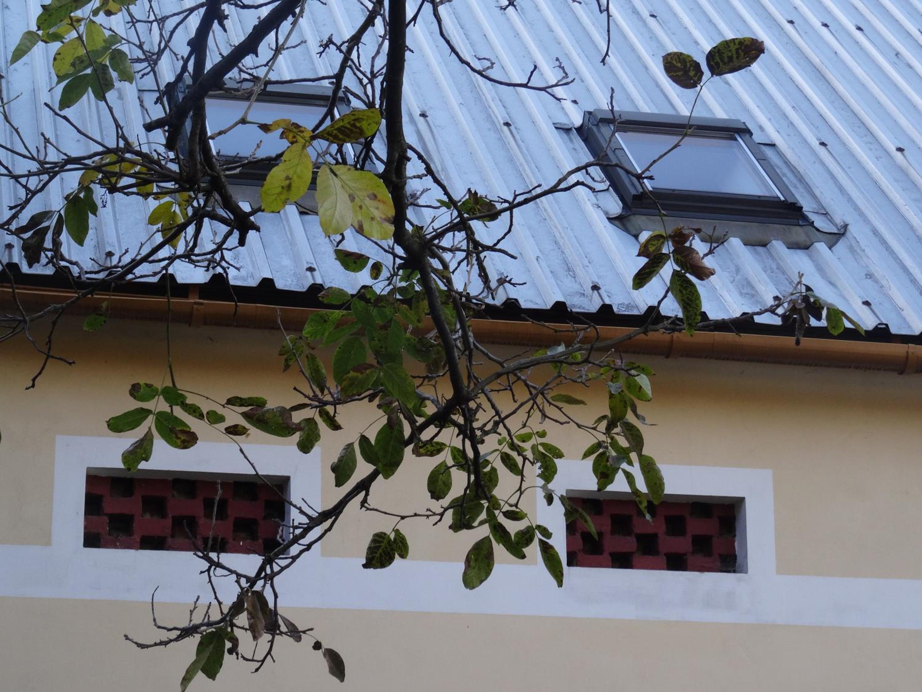 U Nás - Apartmán Zajíc