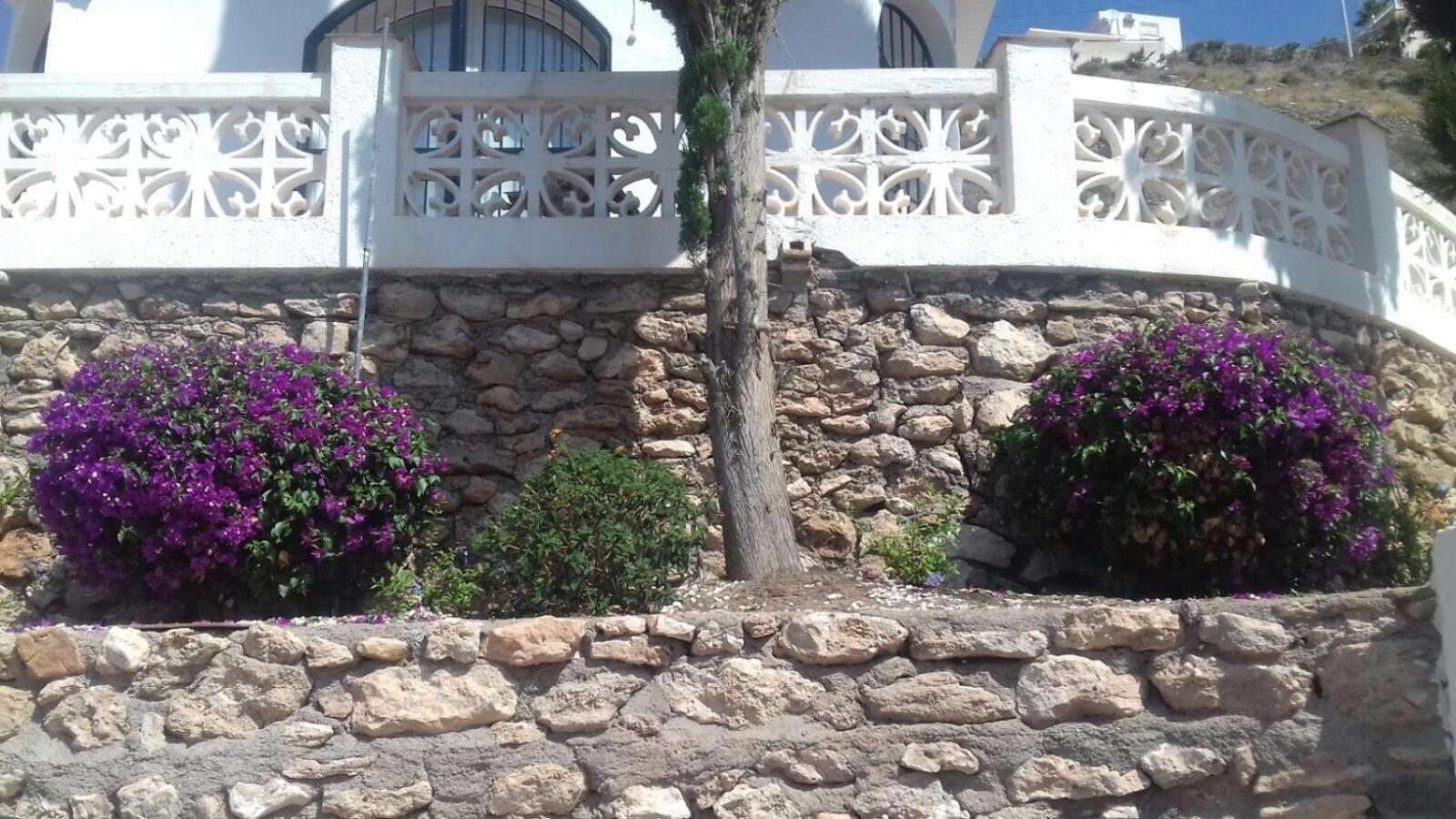 Todosol Dream view 5