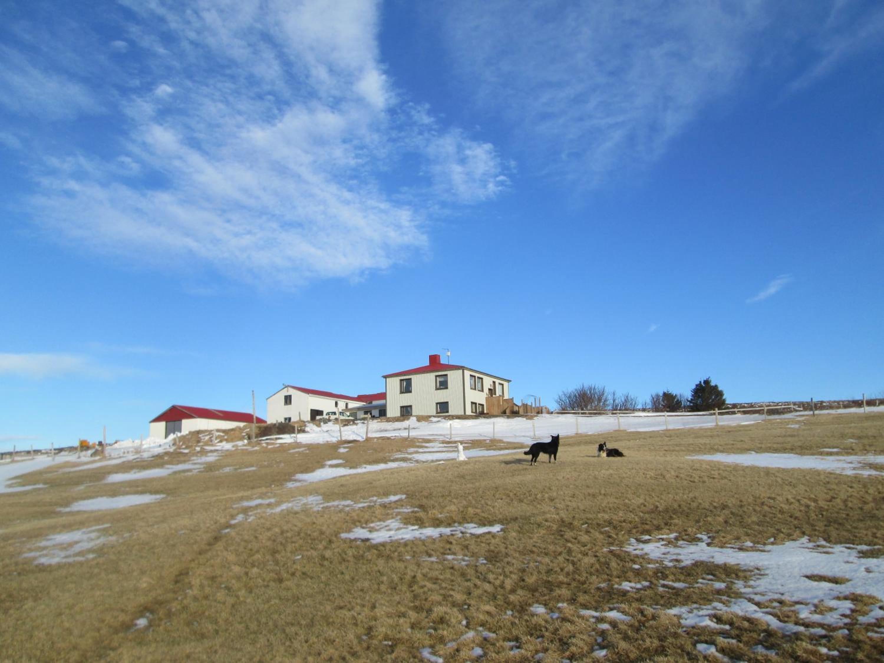 Grásteinn Guesthouse
