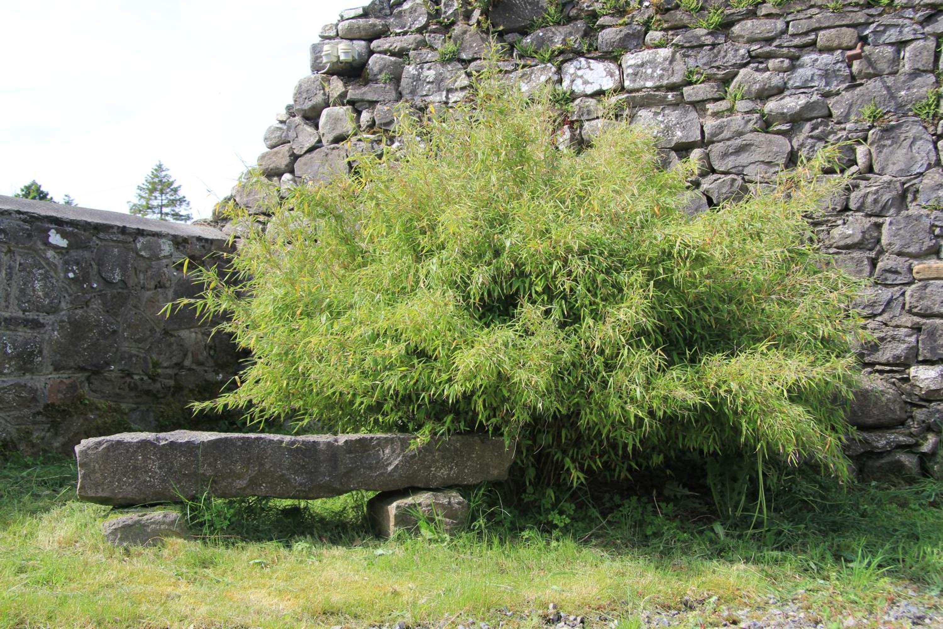 Glenboy Country Accommodation