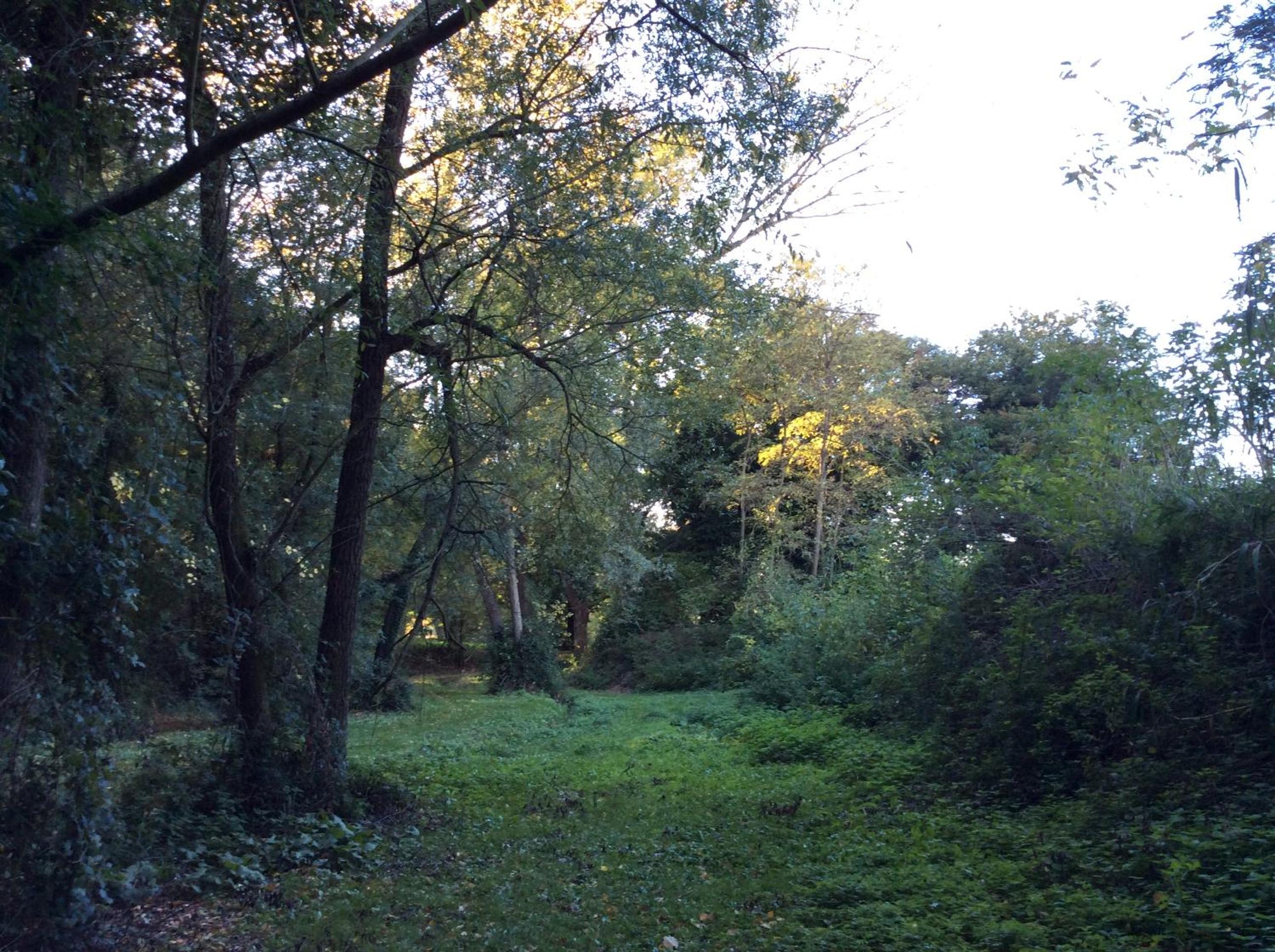 Photo 52