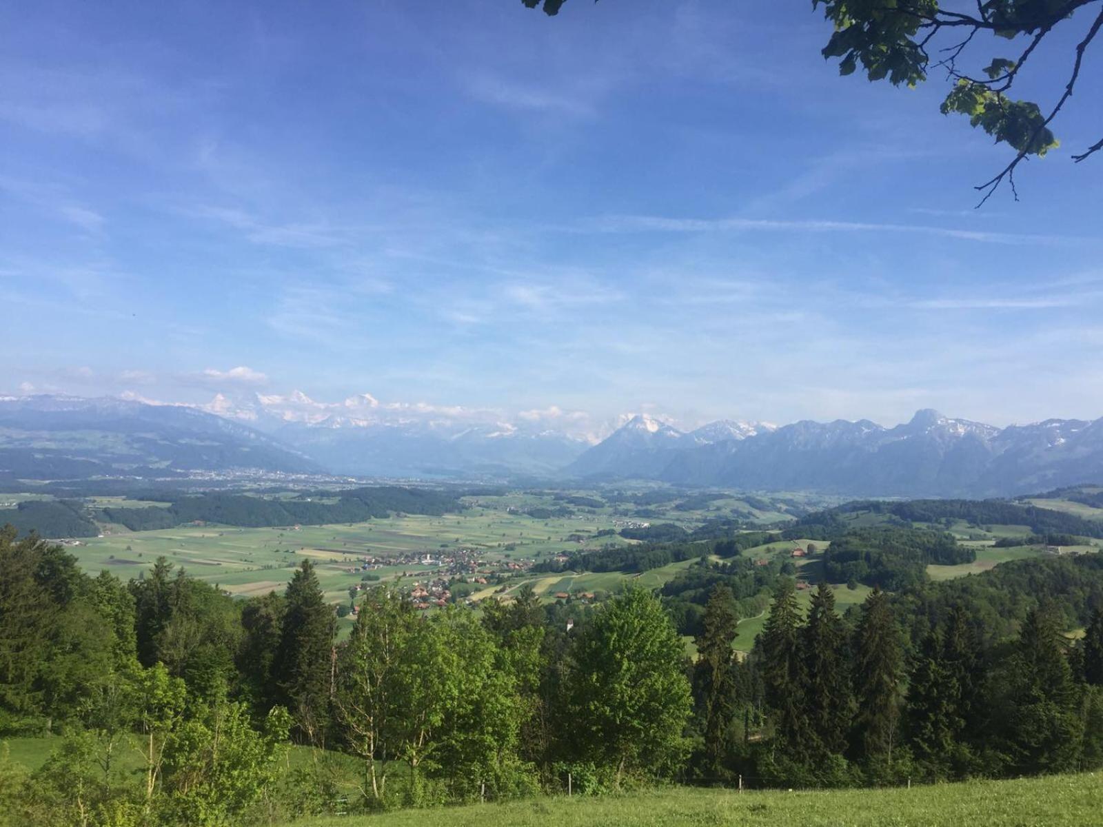 B&B Bären