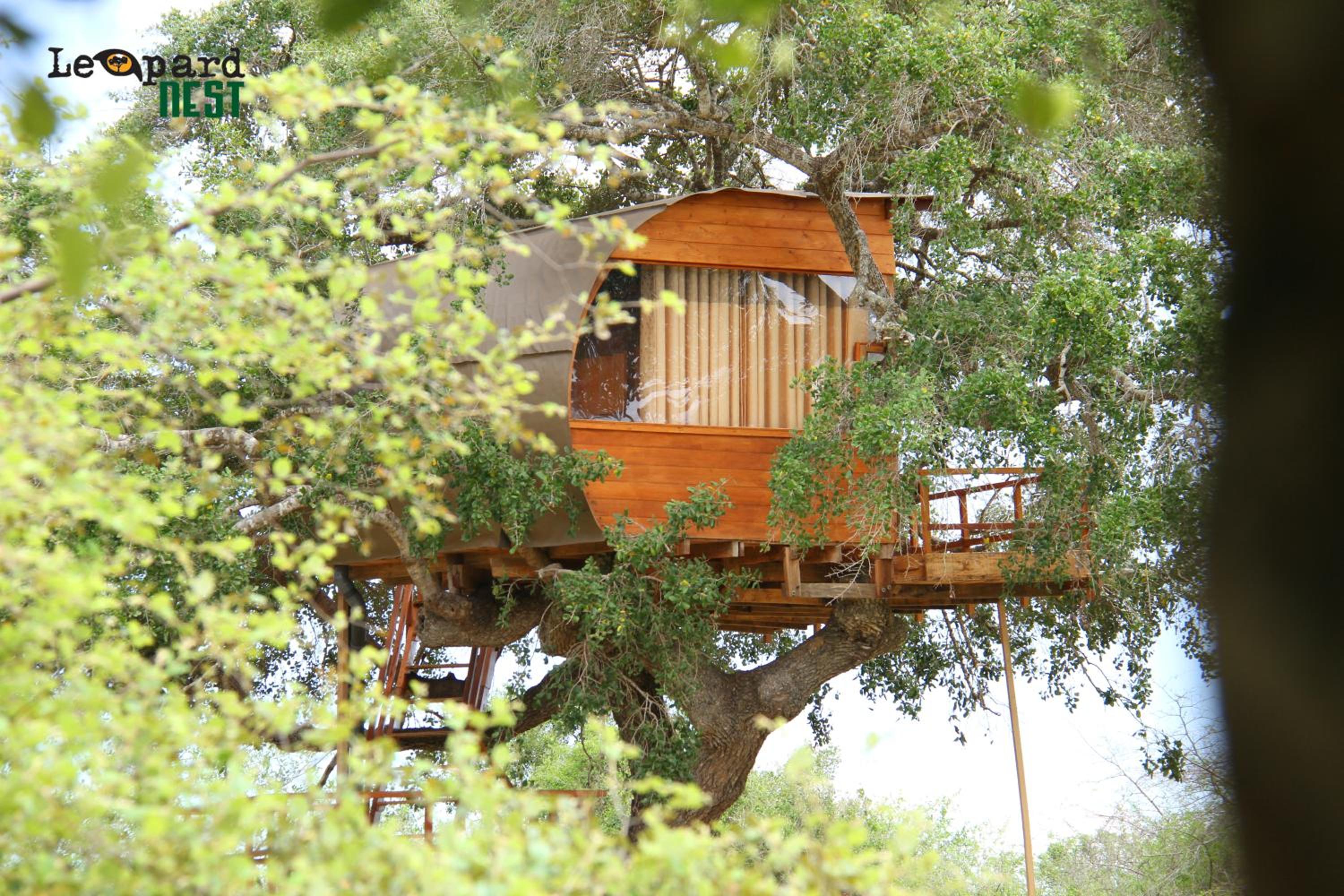 Leopard Nest in Yala view 3