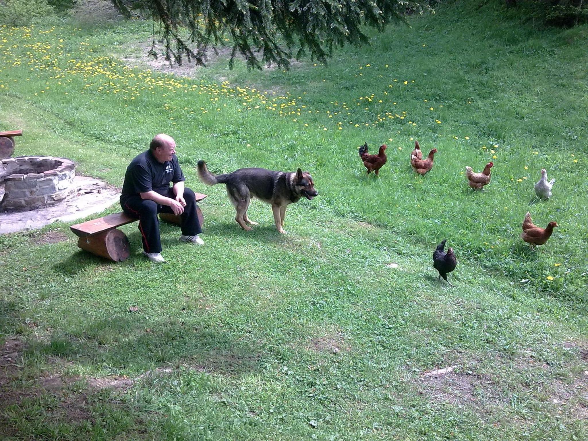 Photo 49
