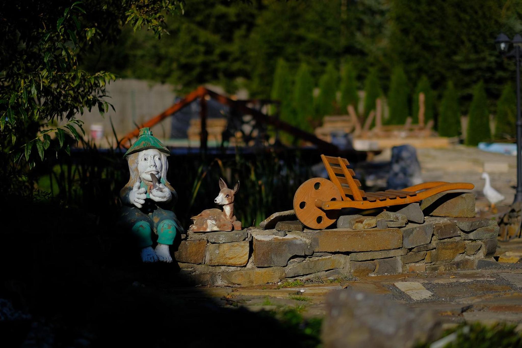 Photo 11