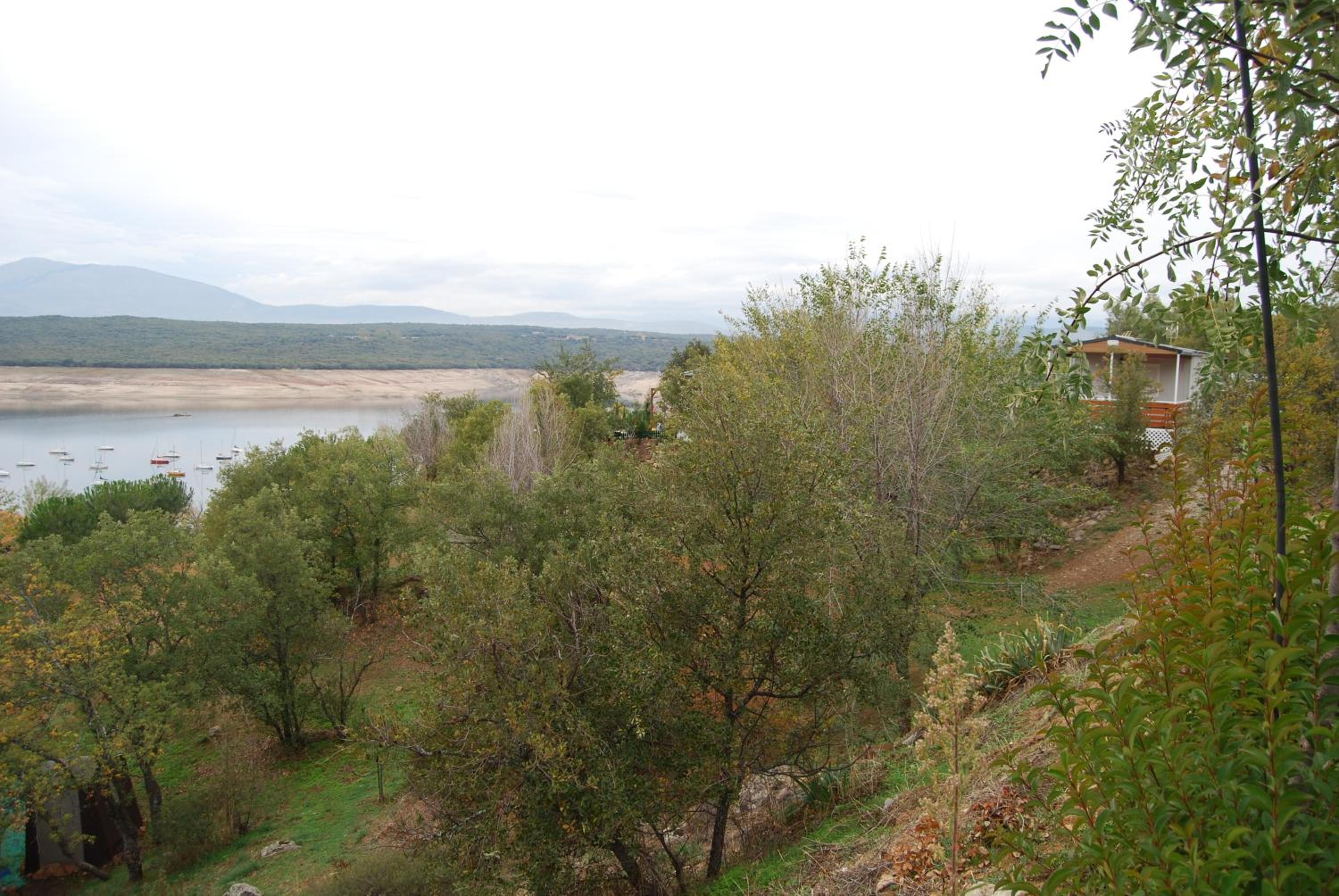 Photo 50