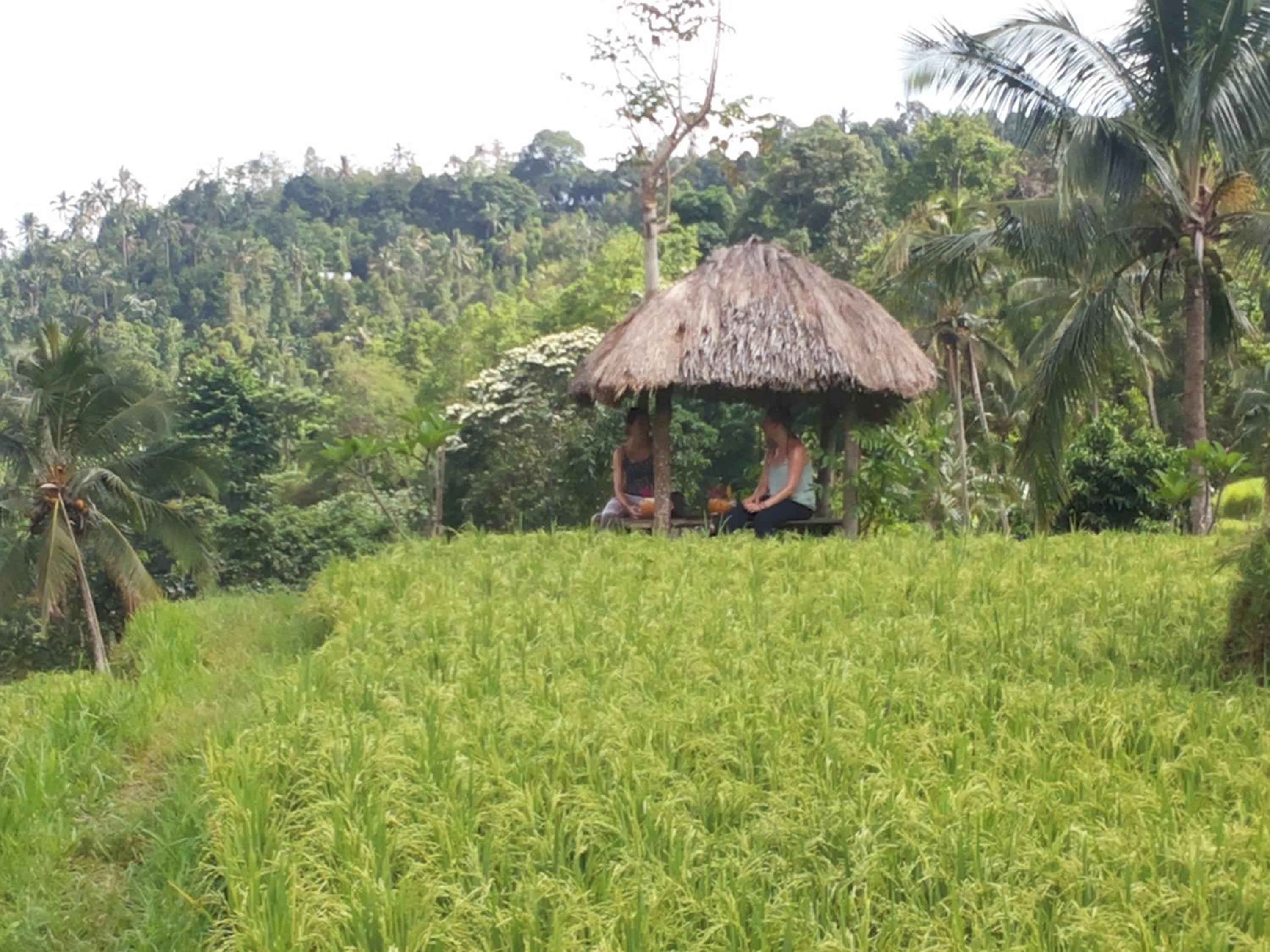 DWM ESA di Kubu Homestay By Reccoma