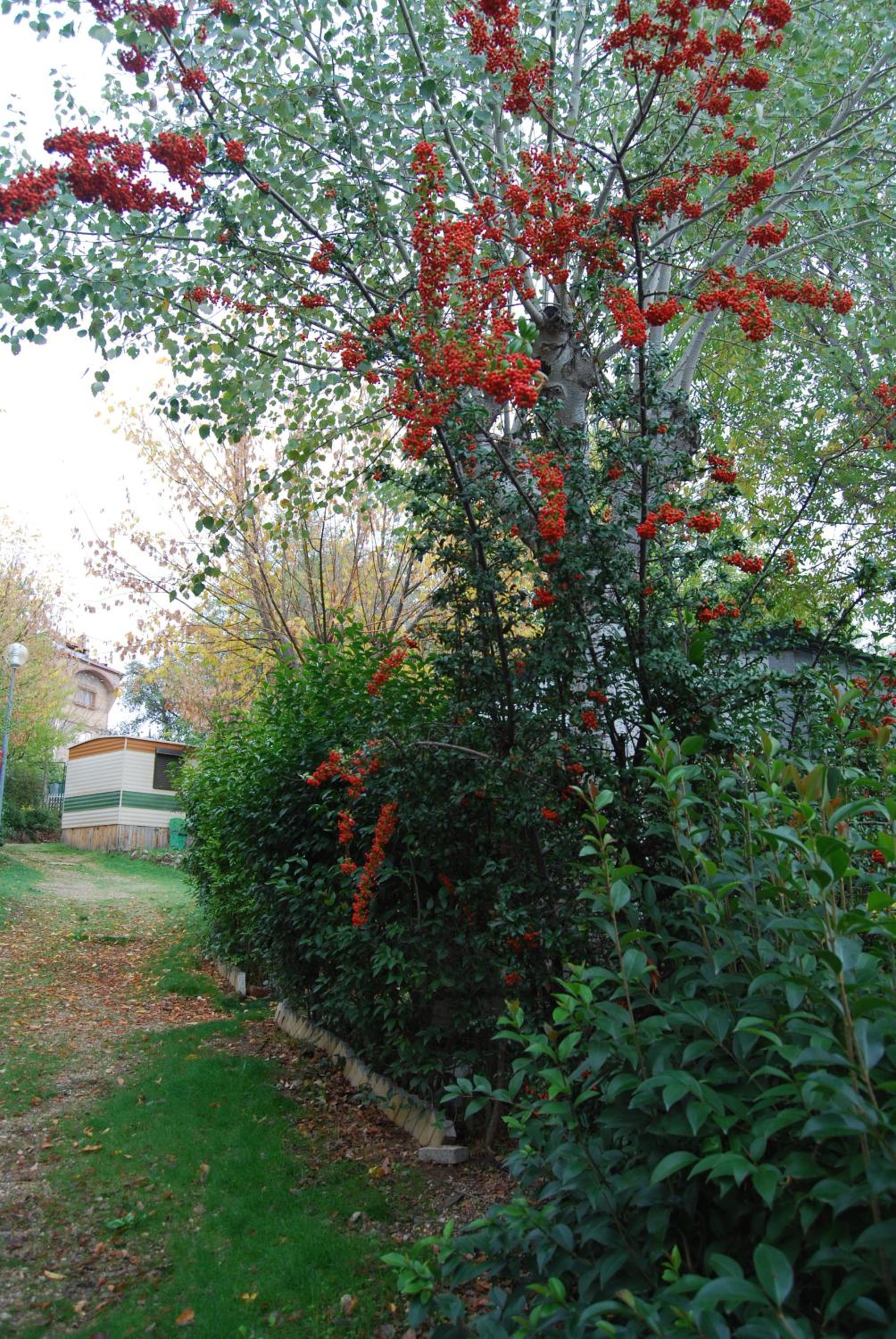 Photo 53