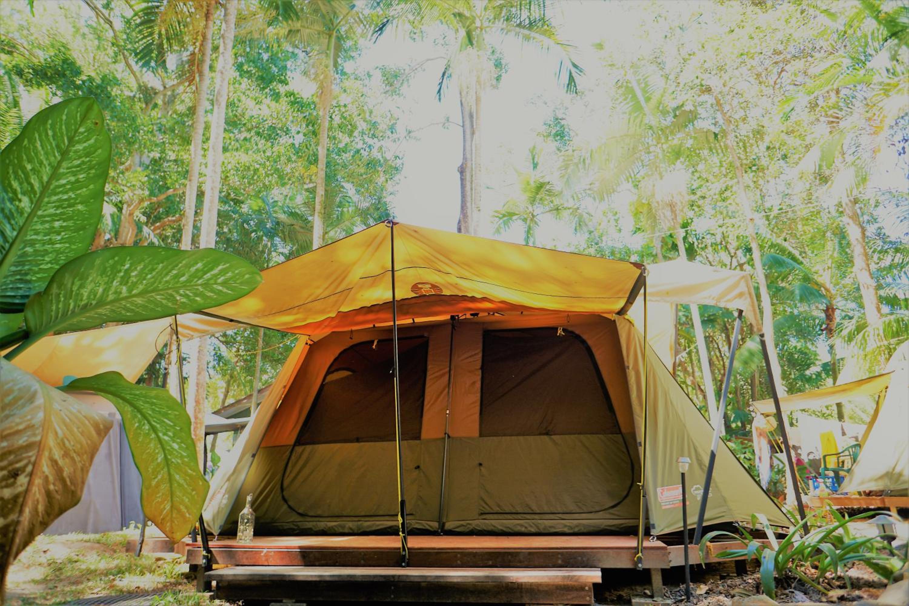 Dougies Backpackers Resort