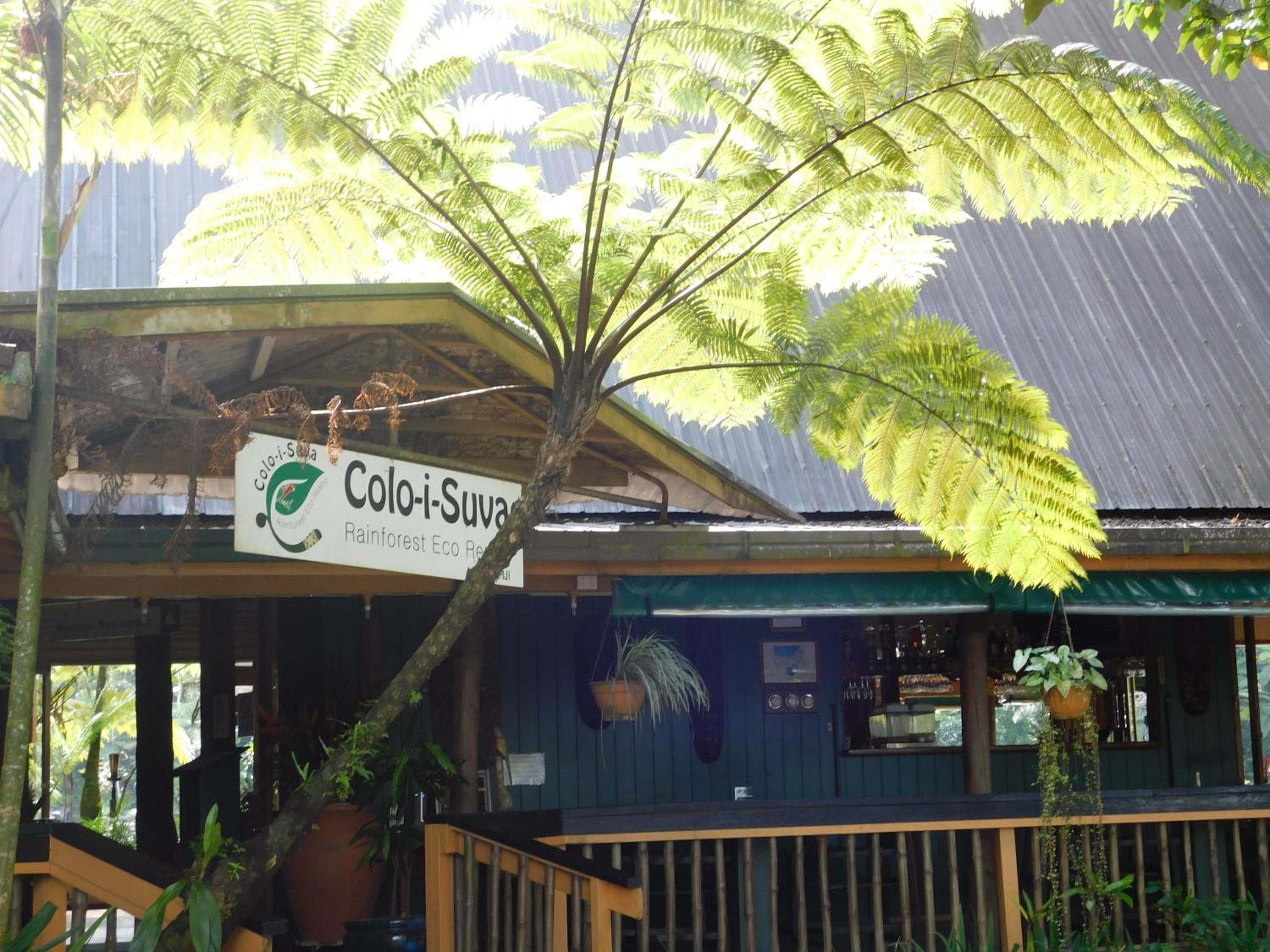 Rainforest Eco Lodge