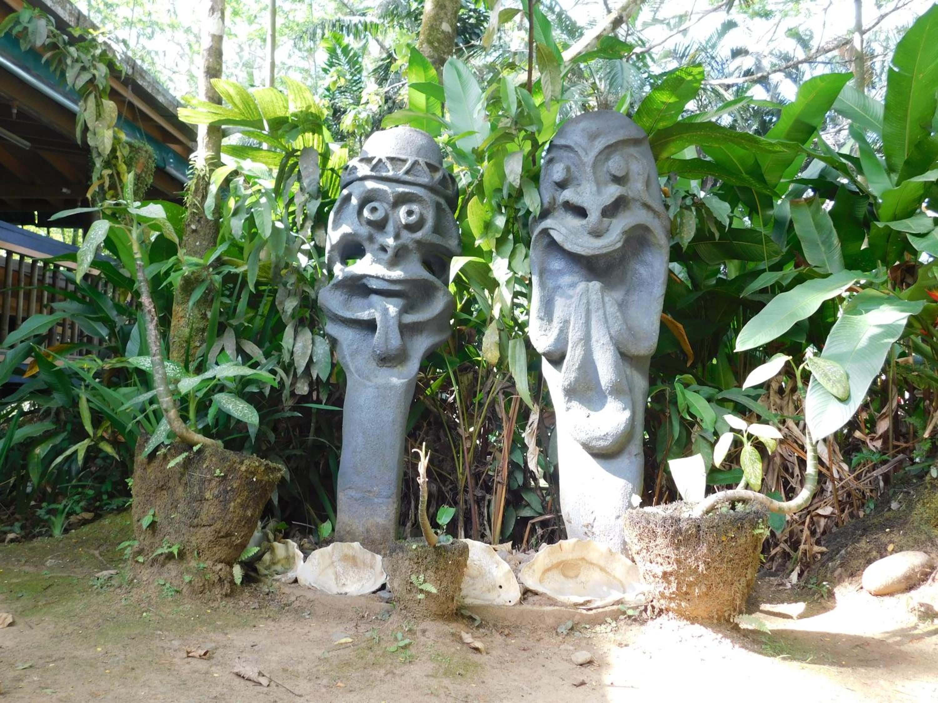 Rainforest Eco Lodge