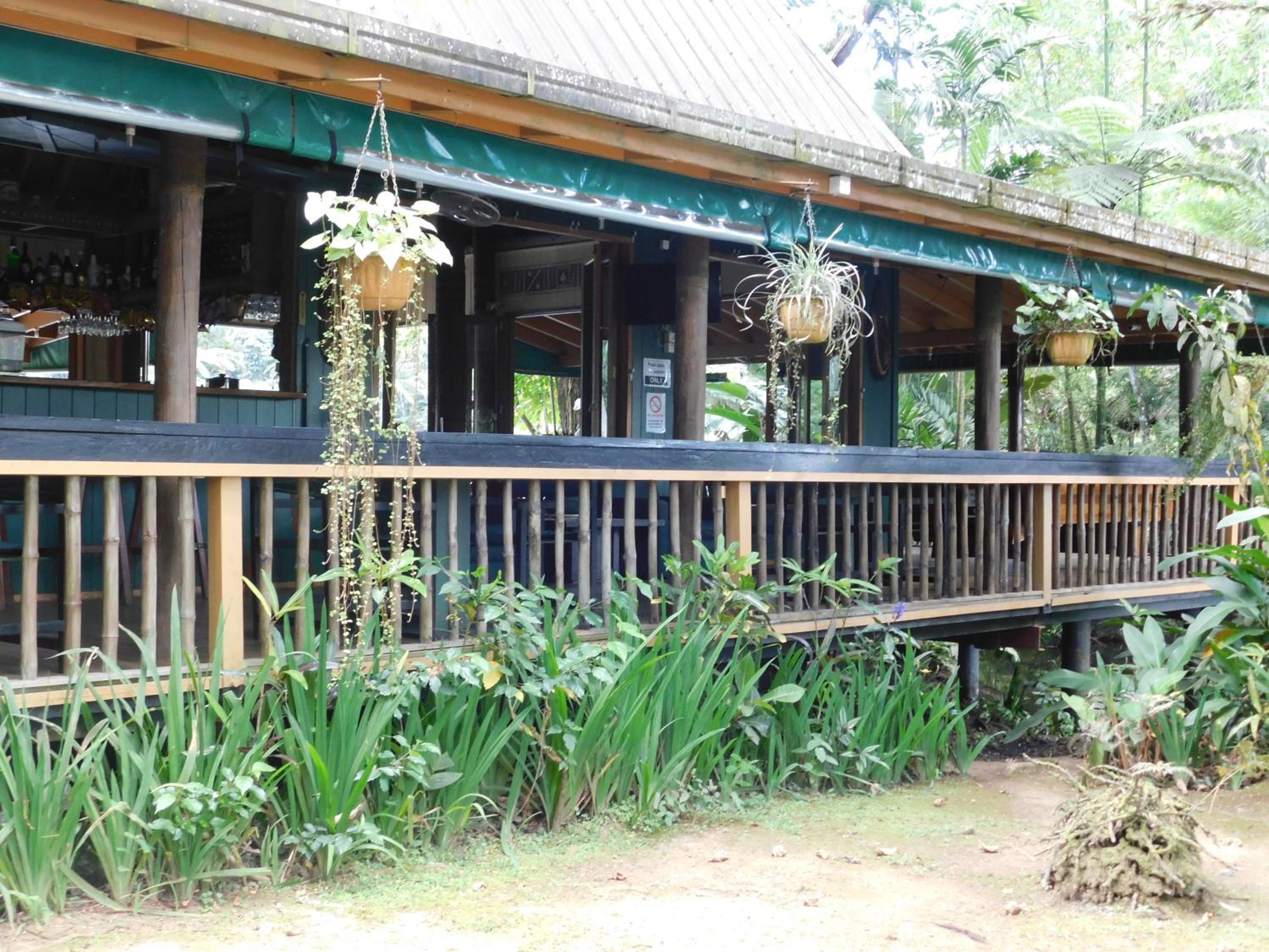 Rainforest Eco Lodge