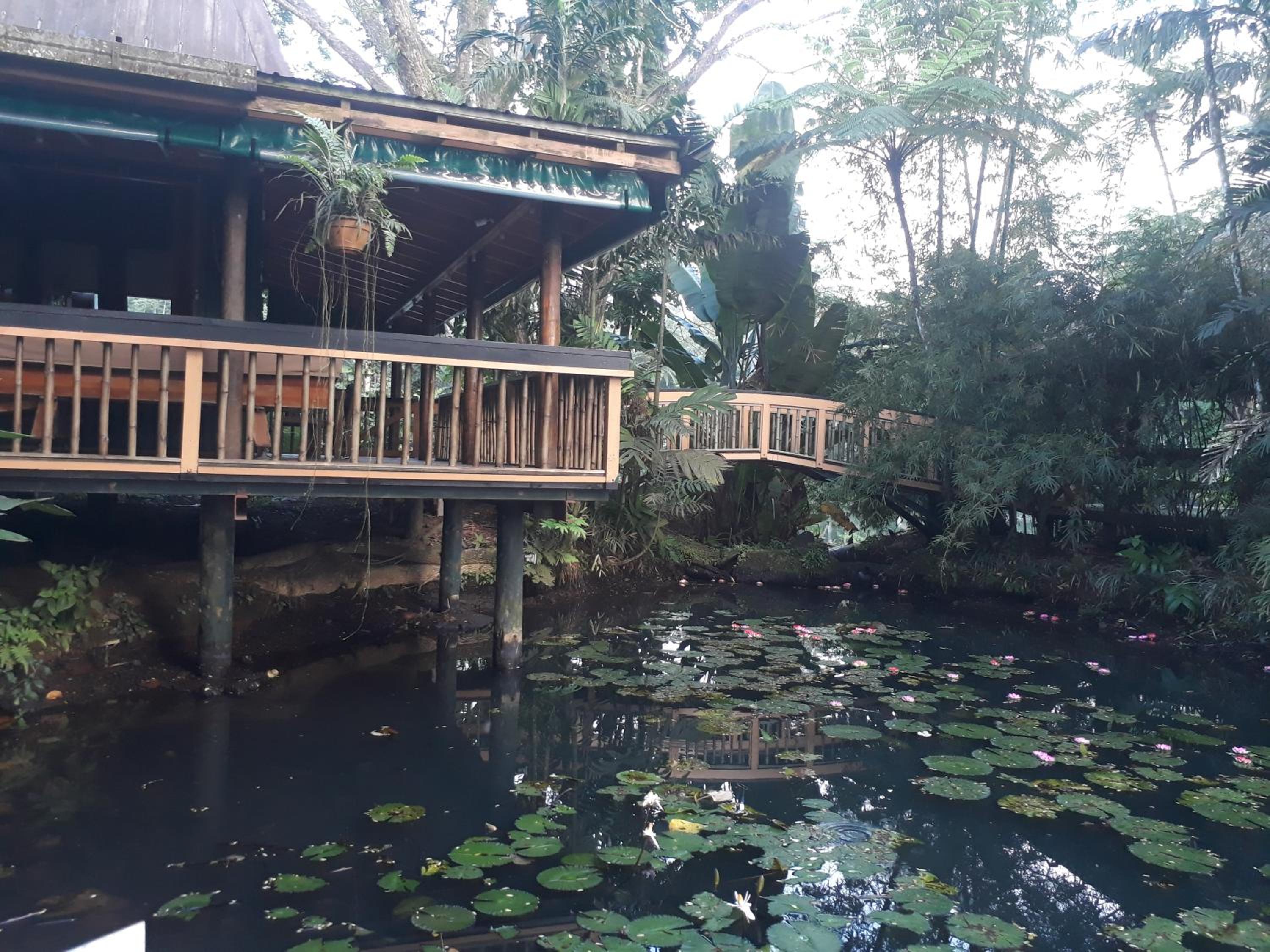 Rainforest Eco Lodge