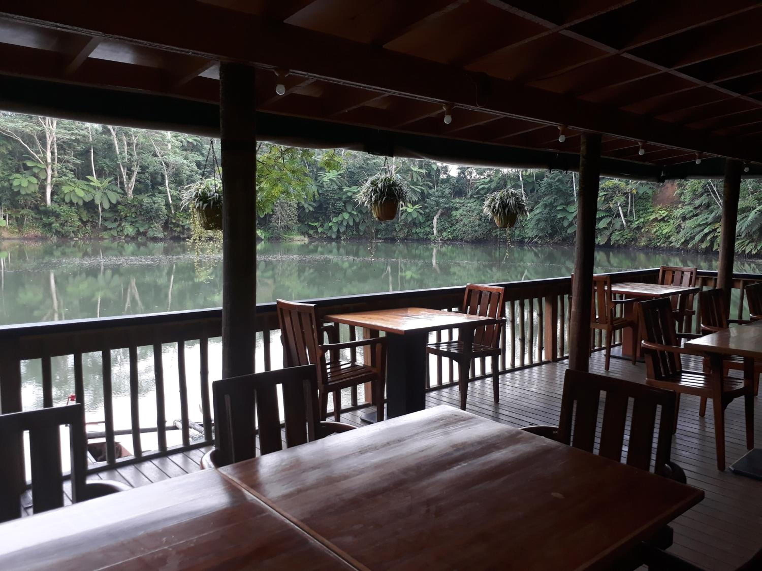 Rainforest Eco Lodge