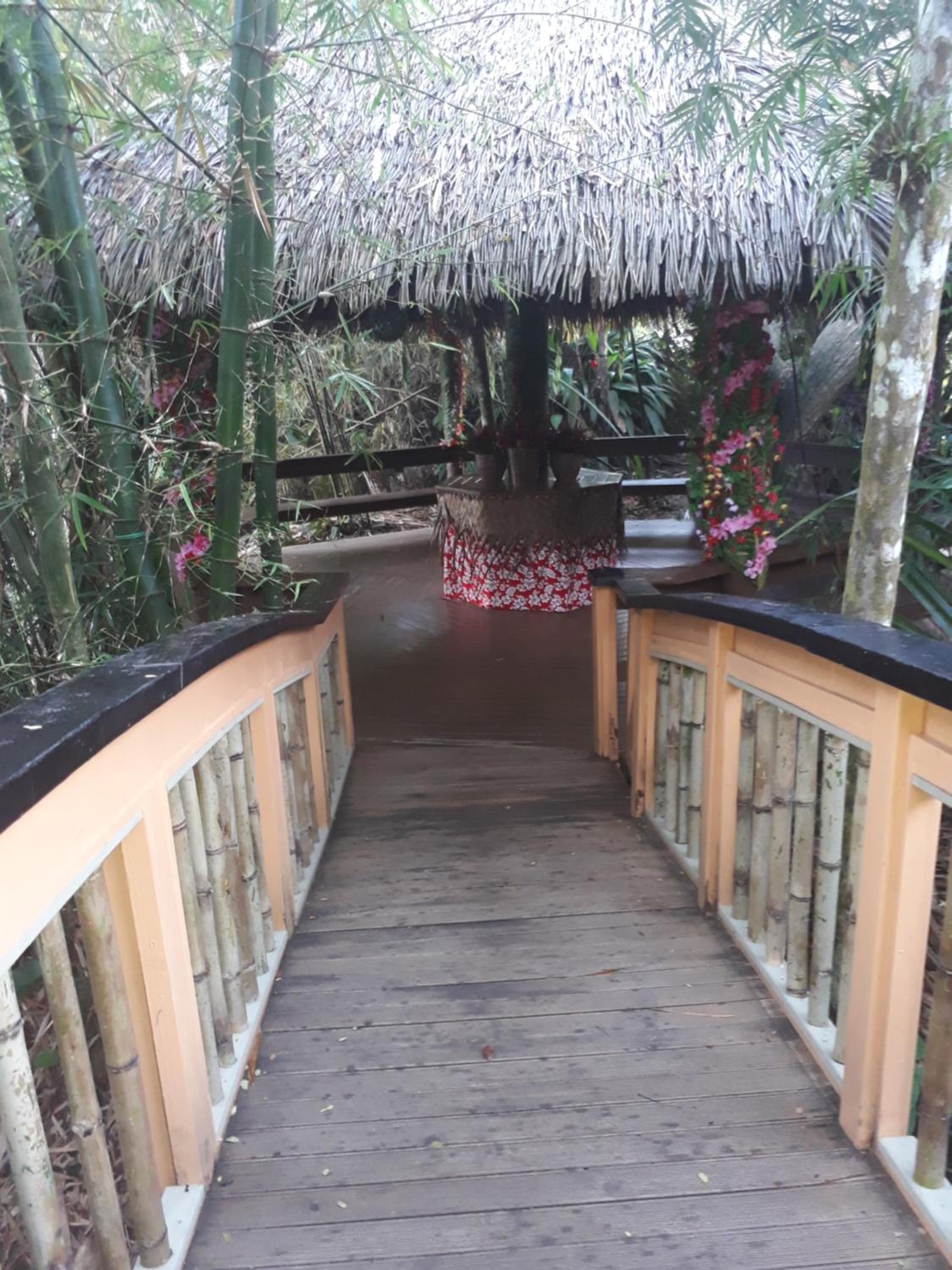 Rainforest Eco Lodge