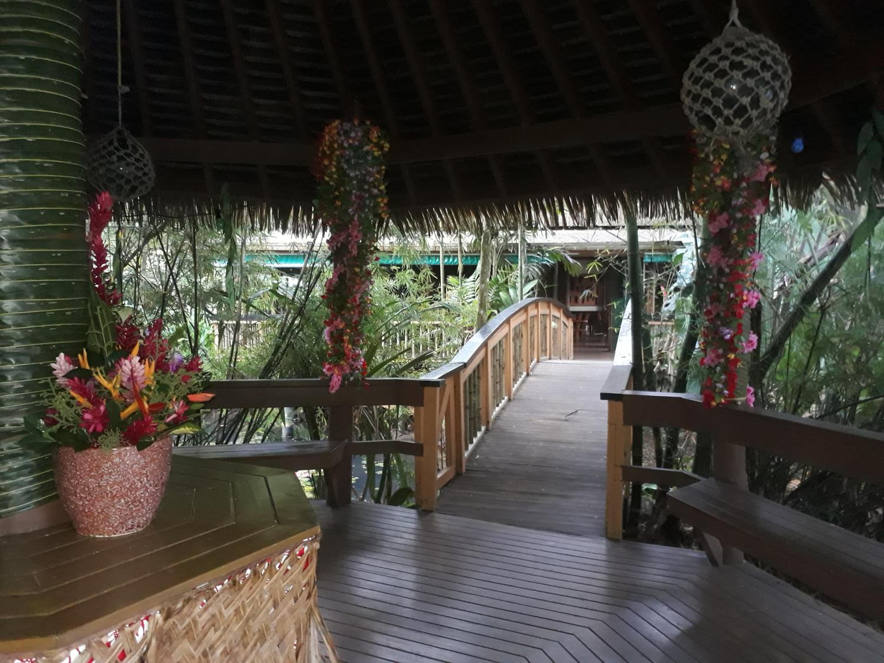 Rainforest Eco Lodge