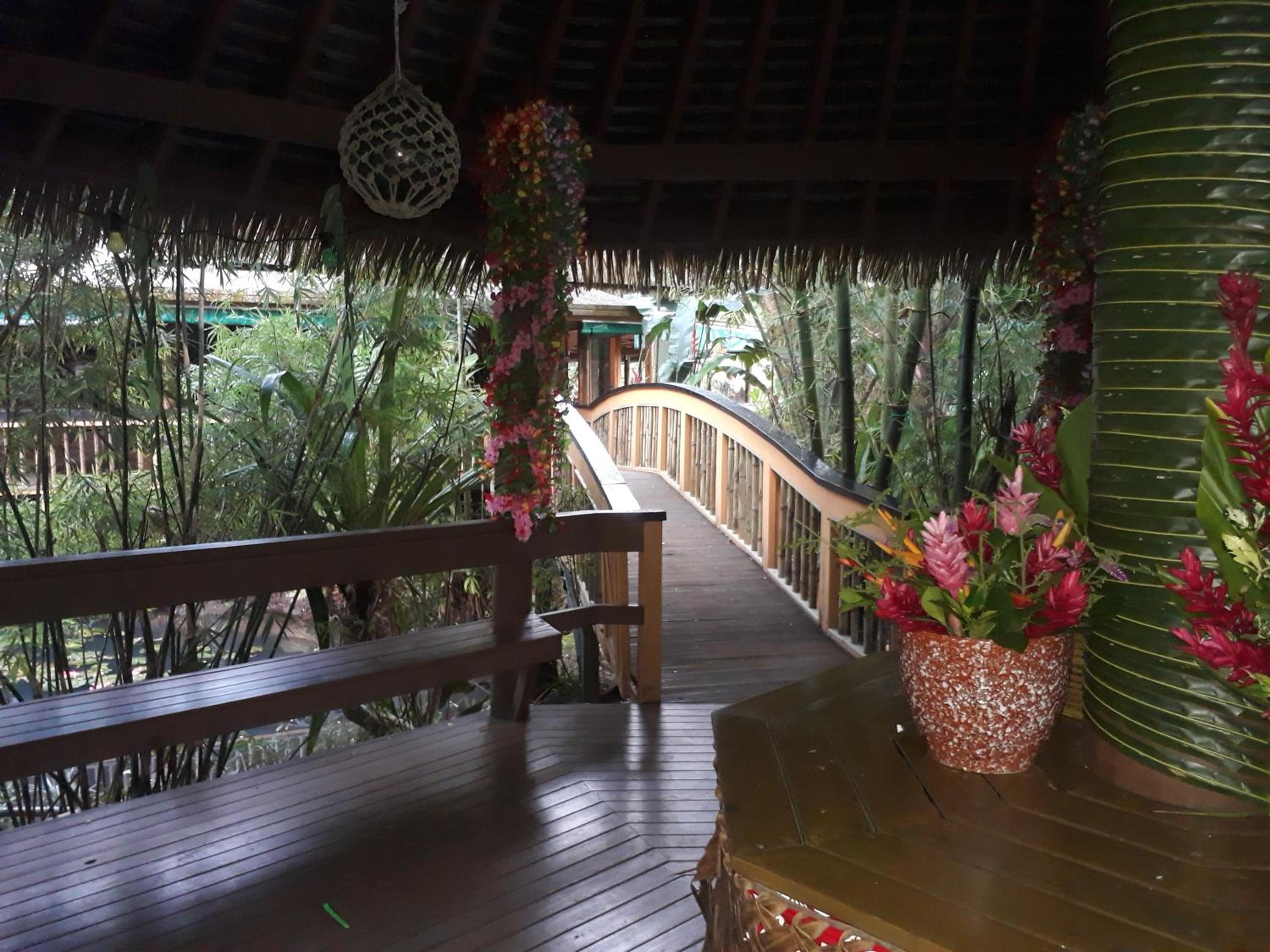 Rainforest Eco Lodge