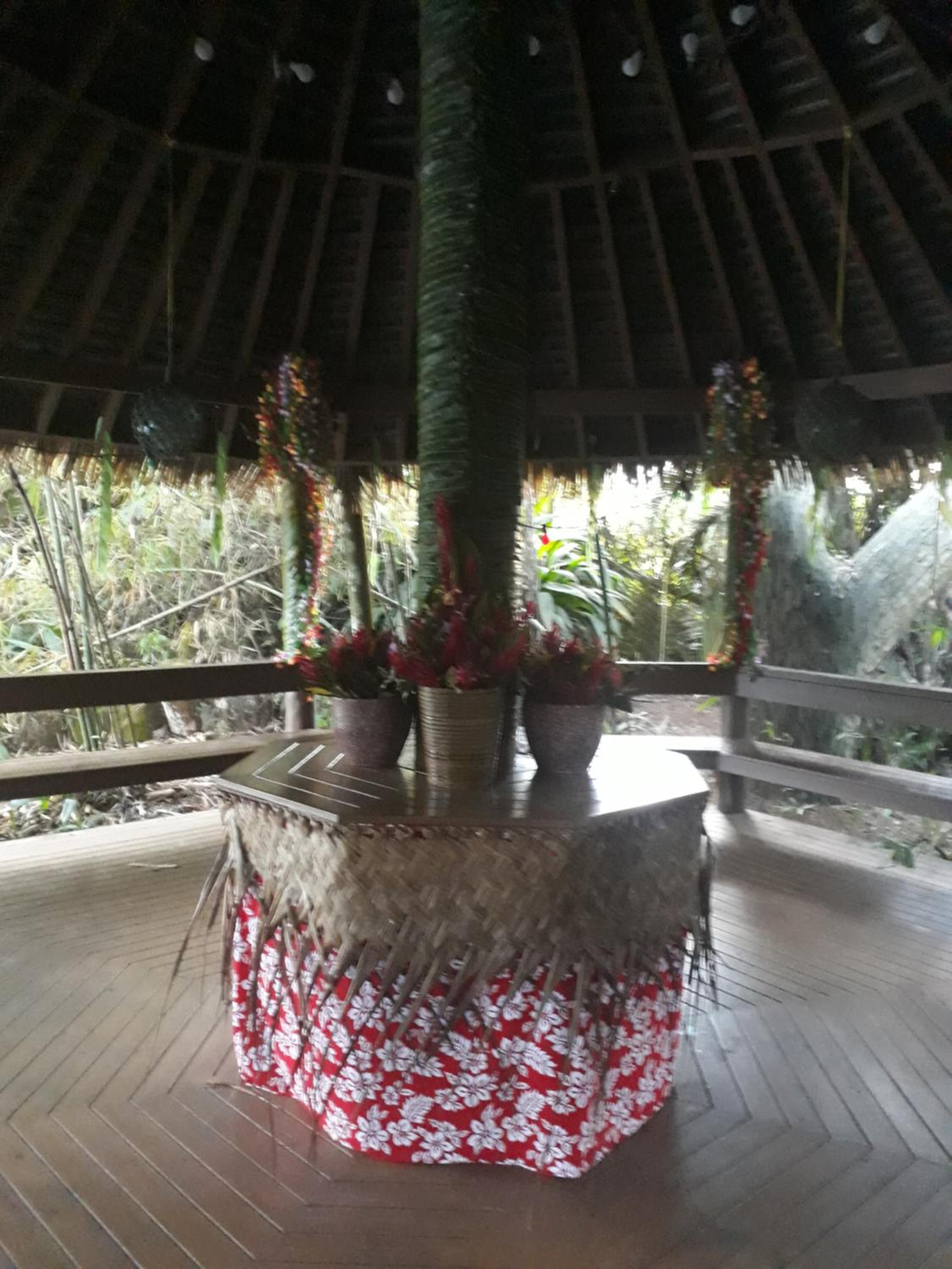 Rainforest Eco Lodge