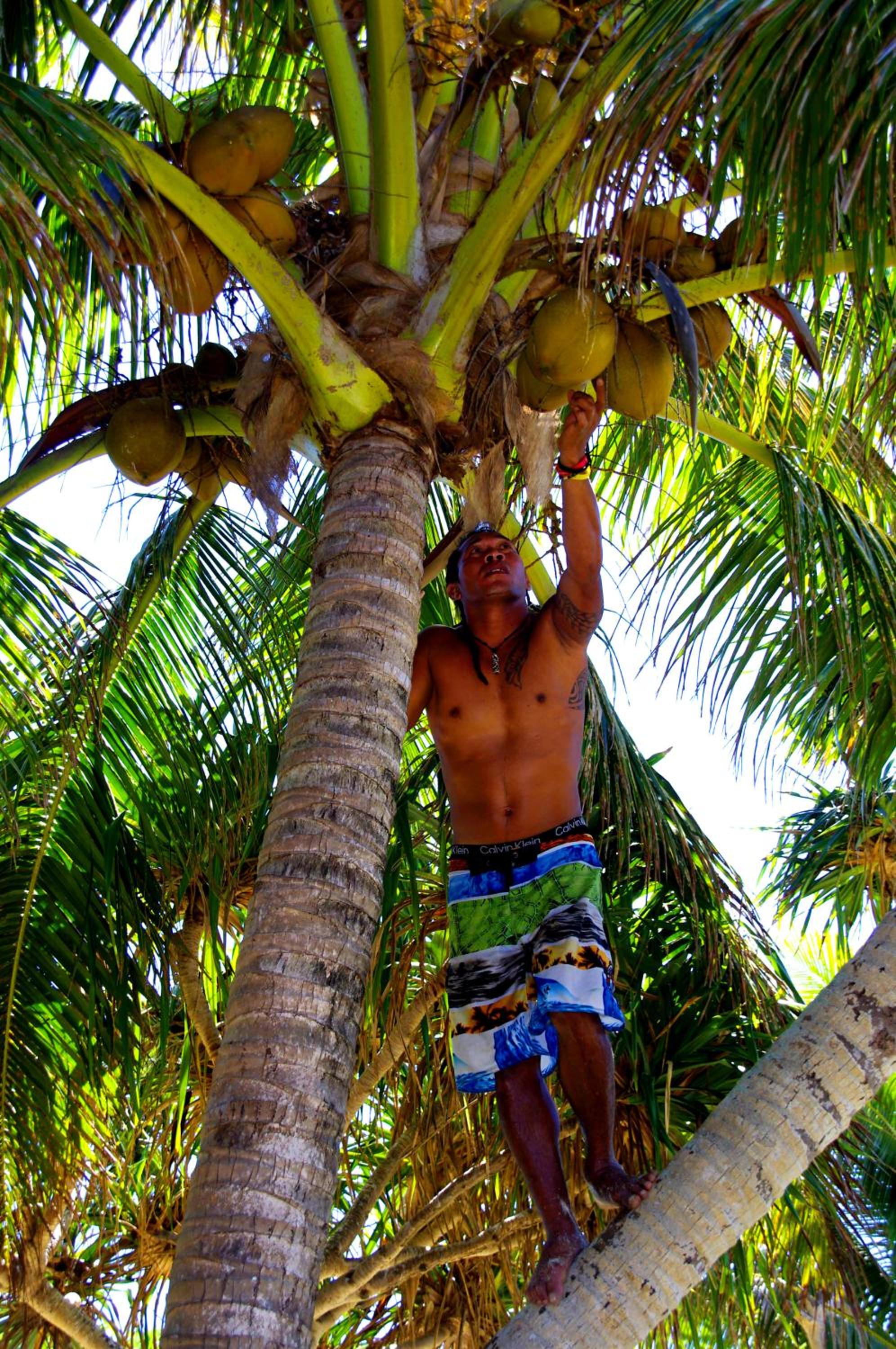 Bamboo Backpackers