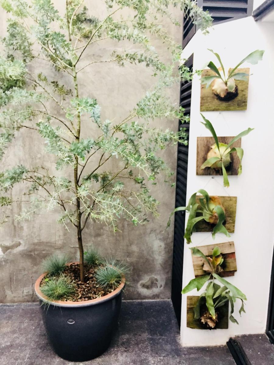 Casa Dovela - Property Image 23