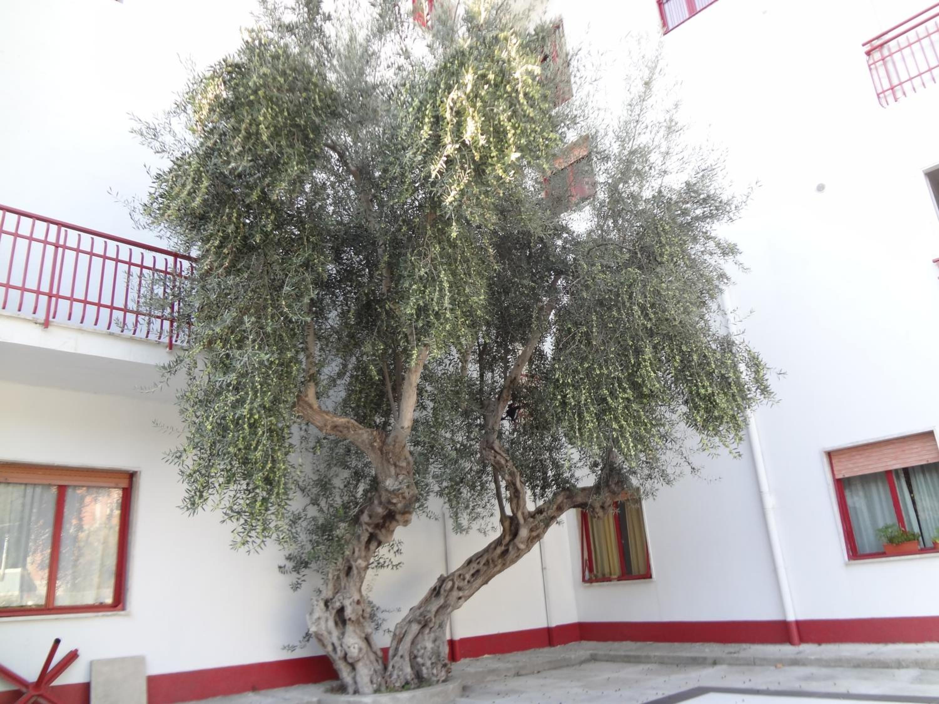 Photo 27