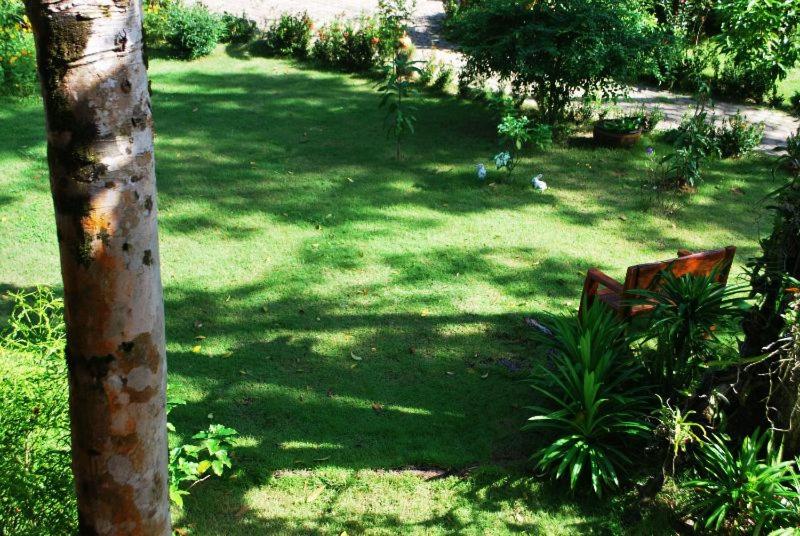 Photo 44