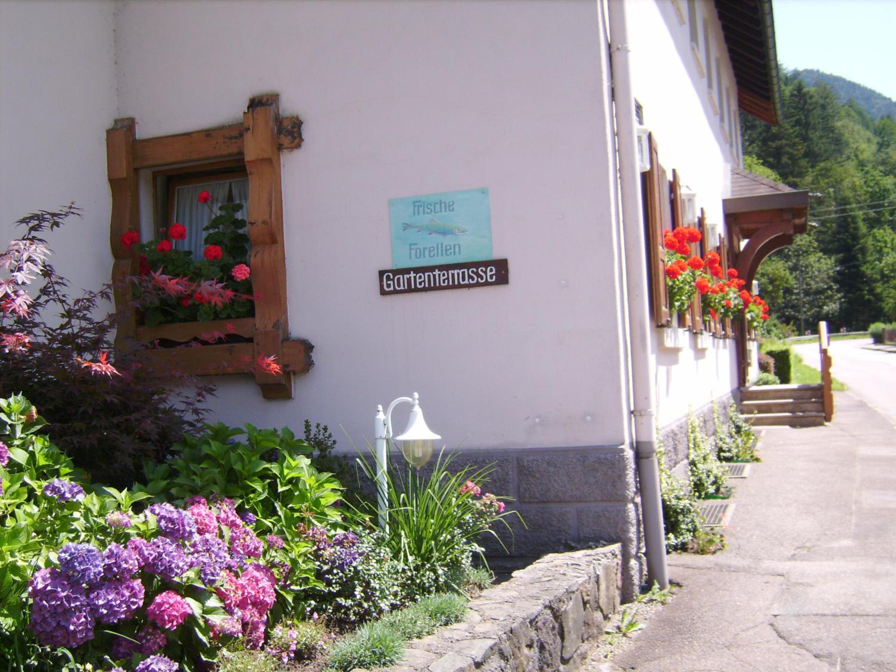 Photo 46