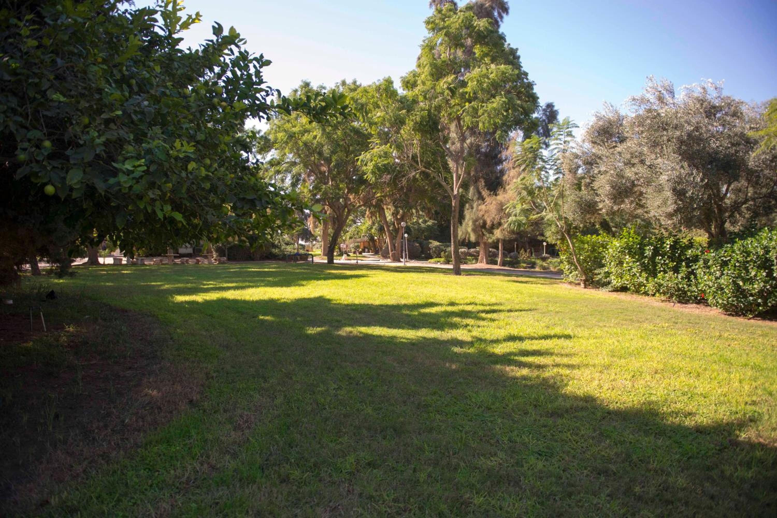 Gvulot - Kibbutz experience