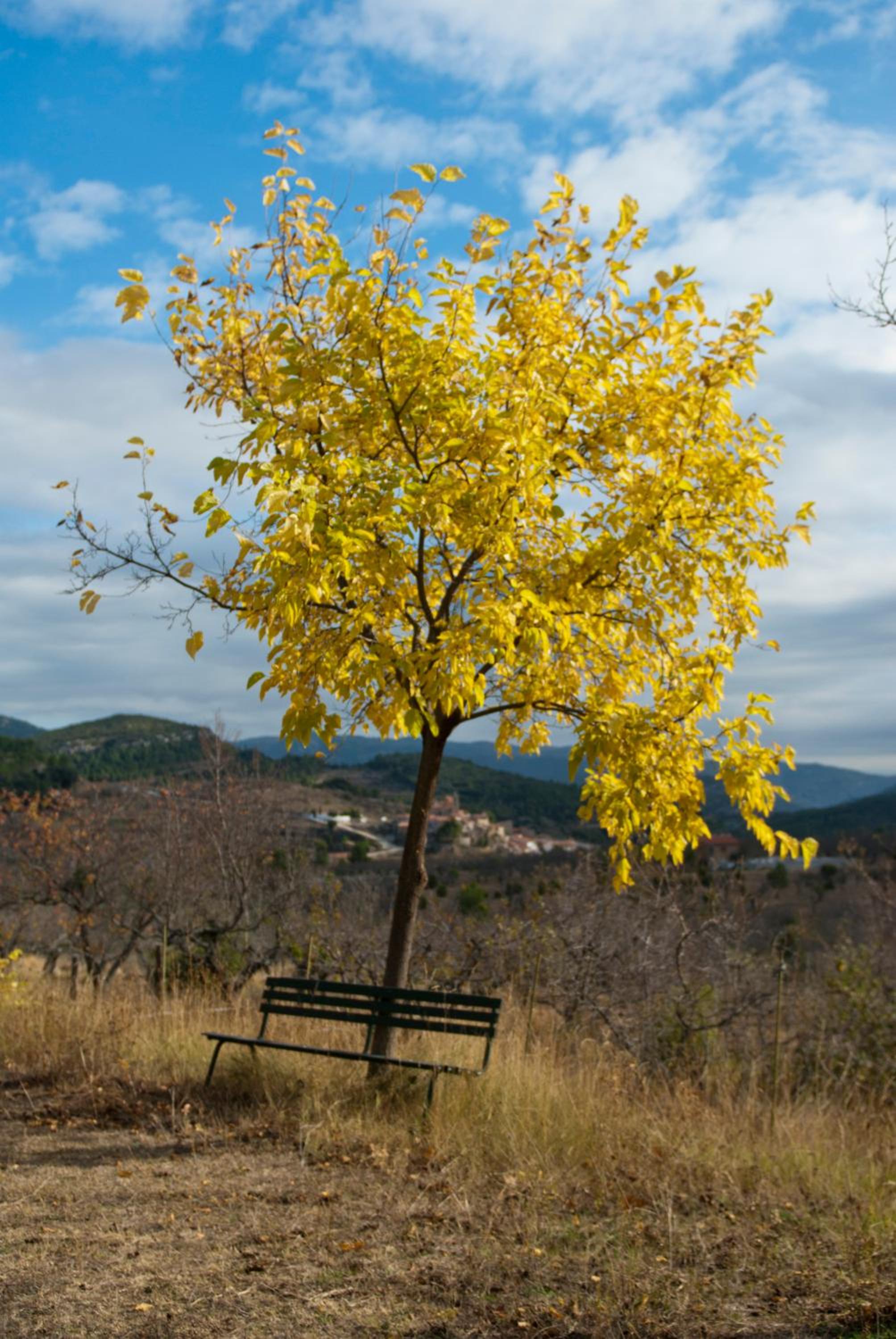 Hostatgeria Sant Jaume