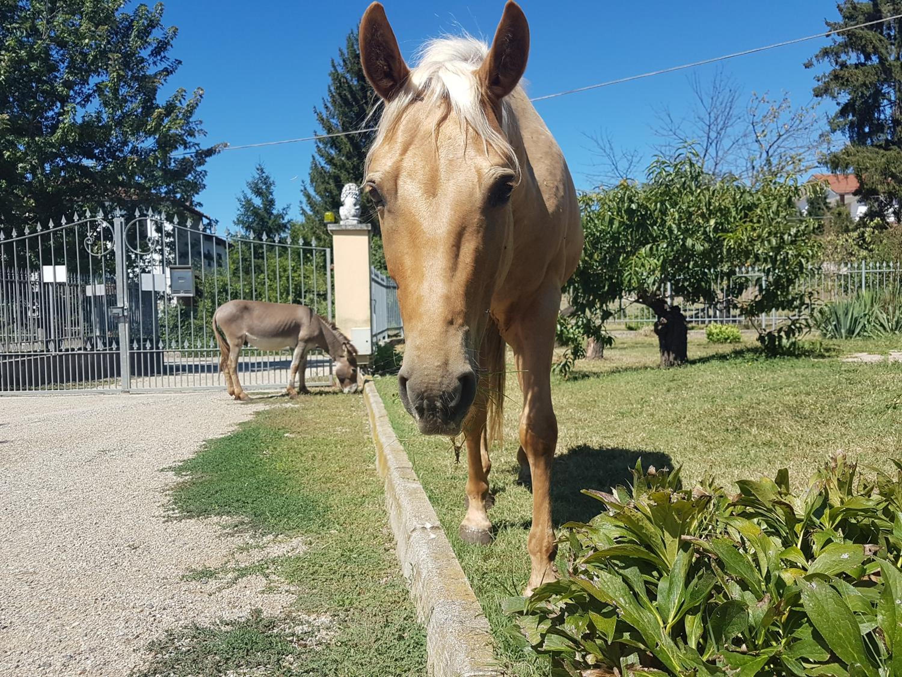 La Crota B&B