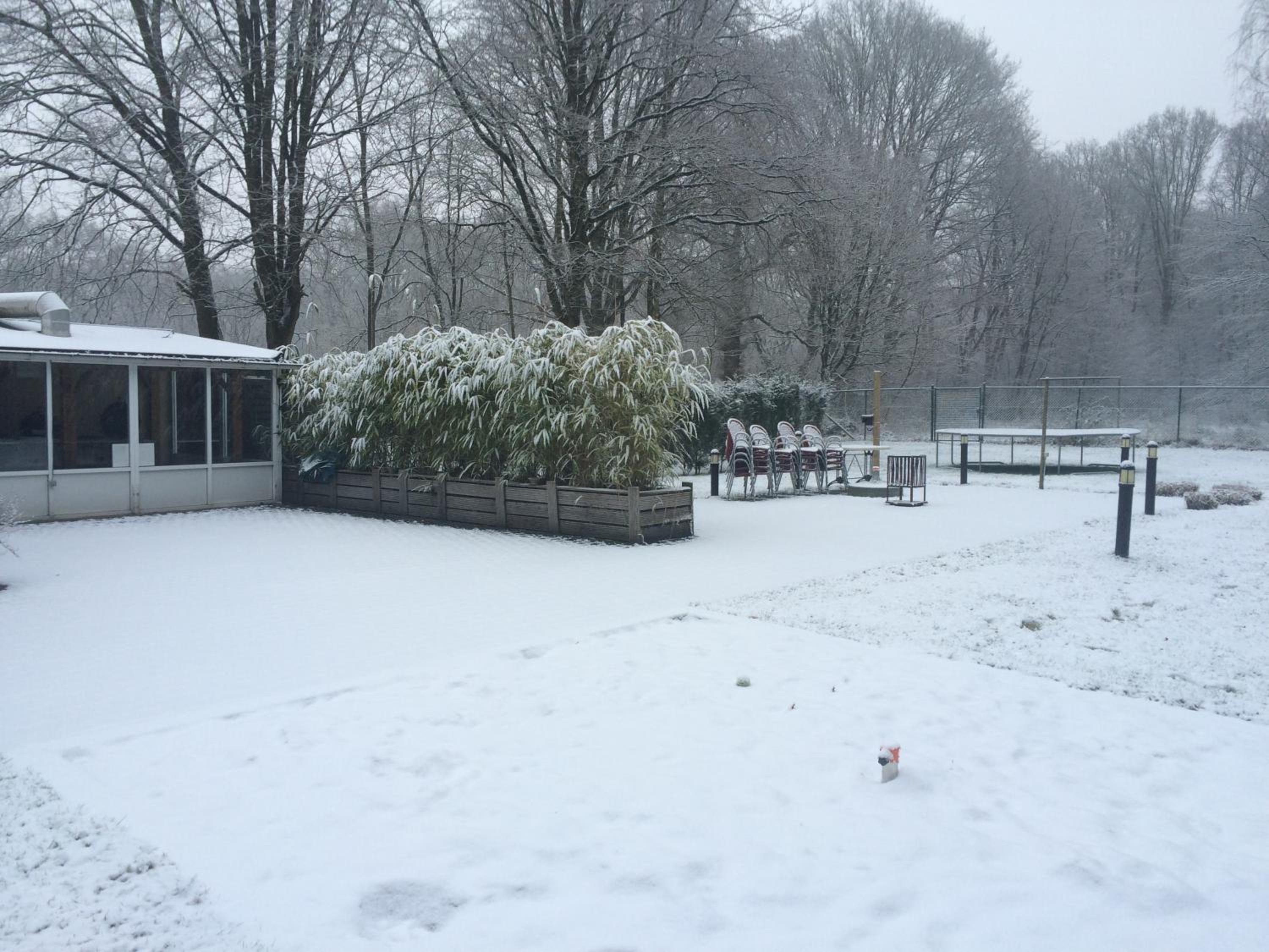 de bron