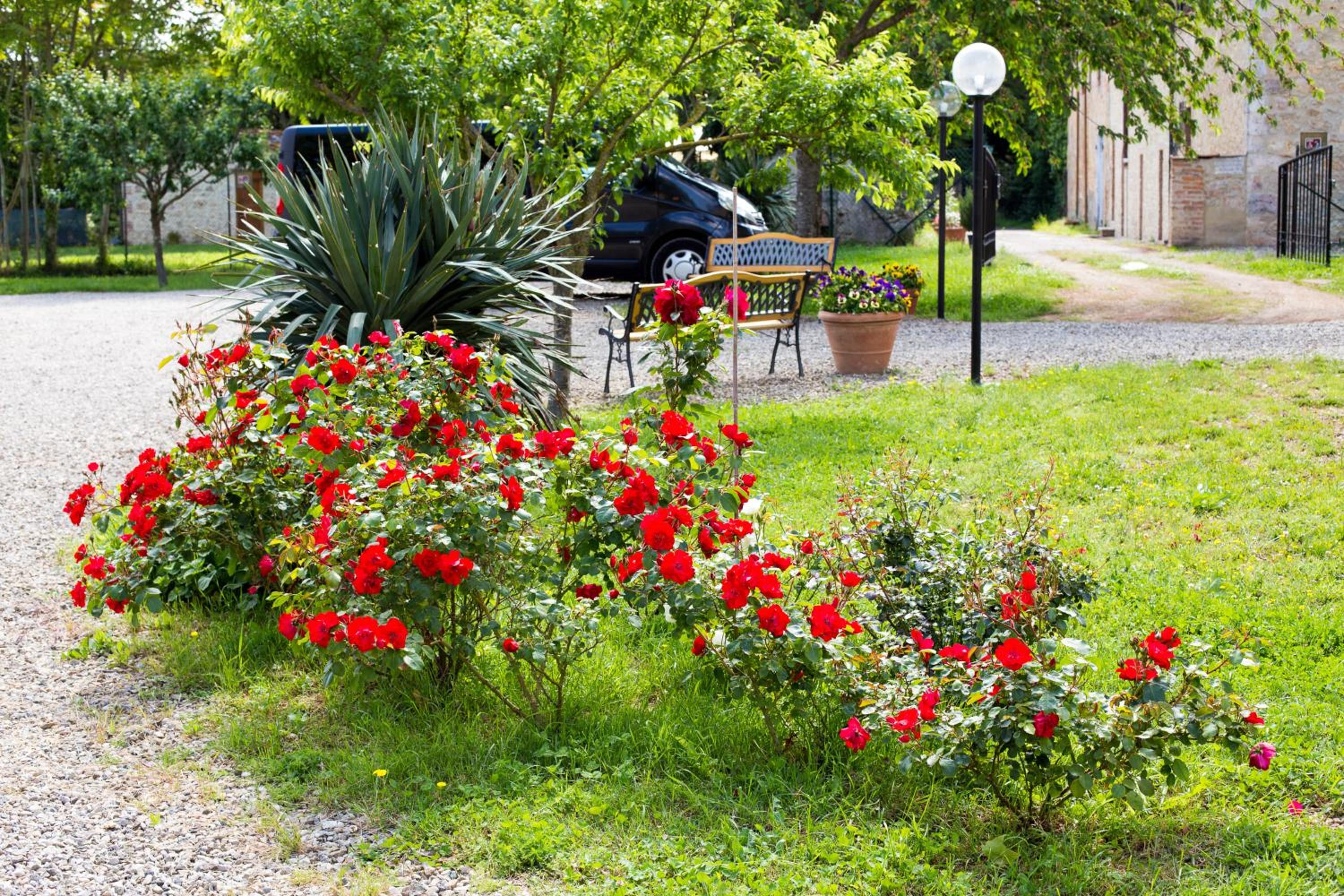 Fattoria il Casone
