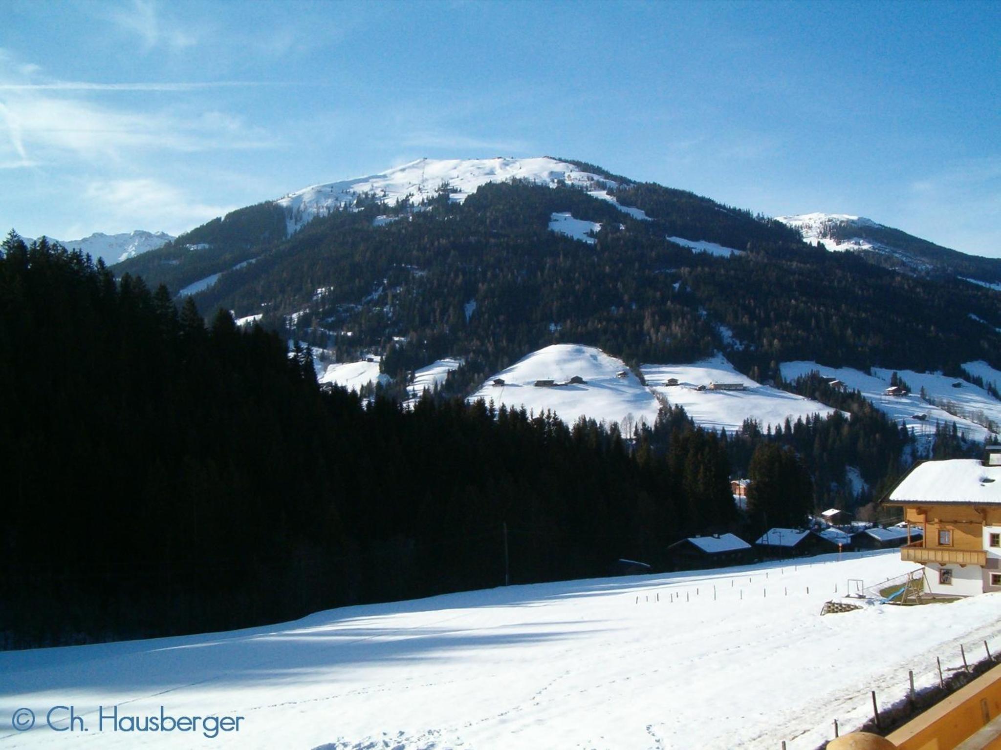 Alpbacher Appartementhaus Johannes