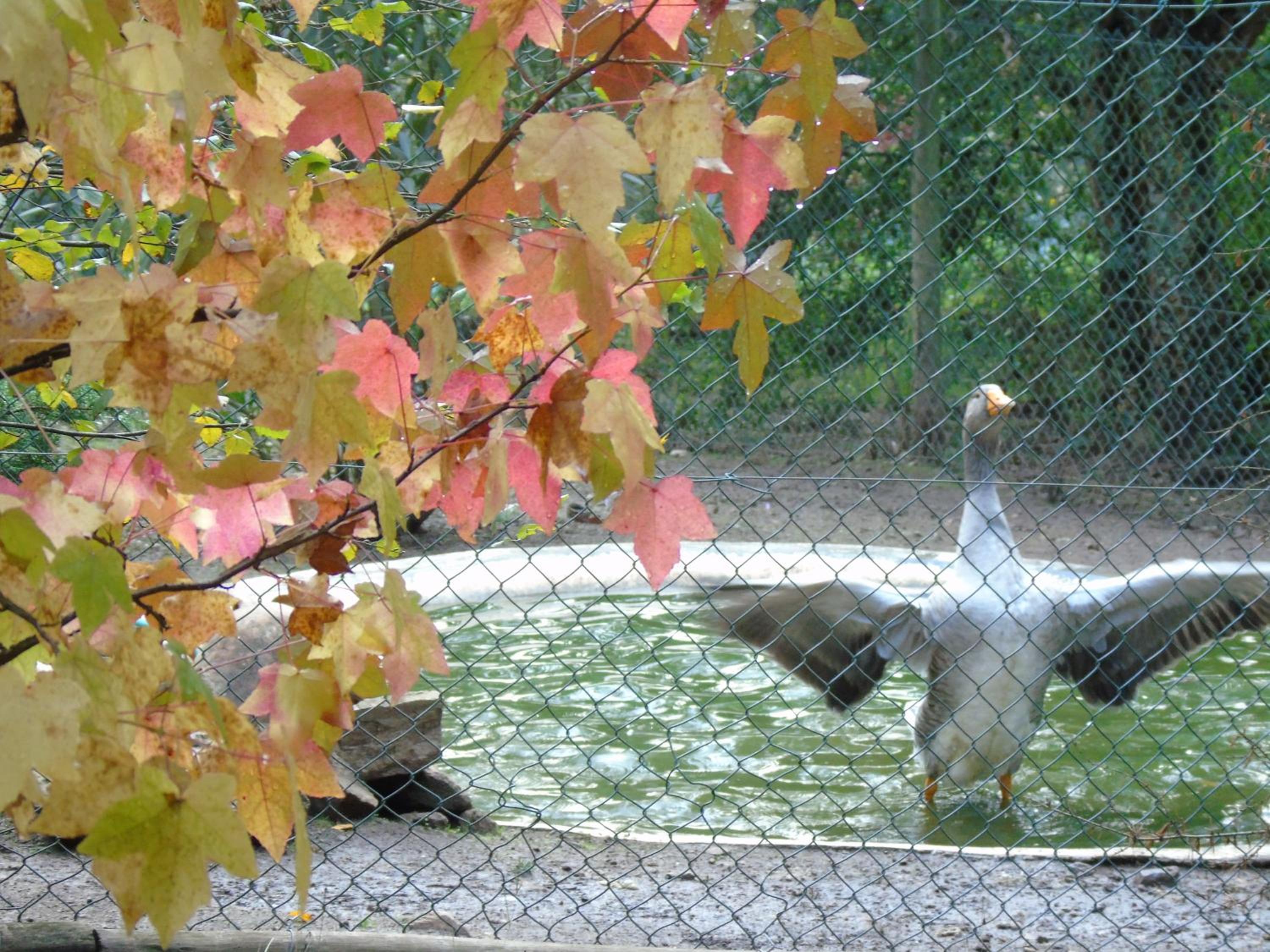 Photo 54