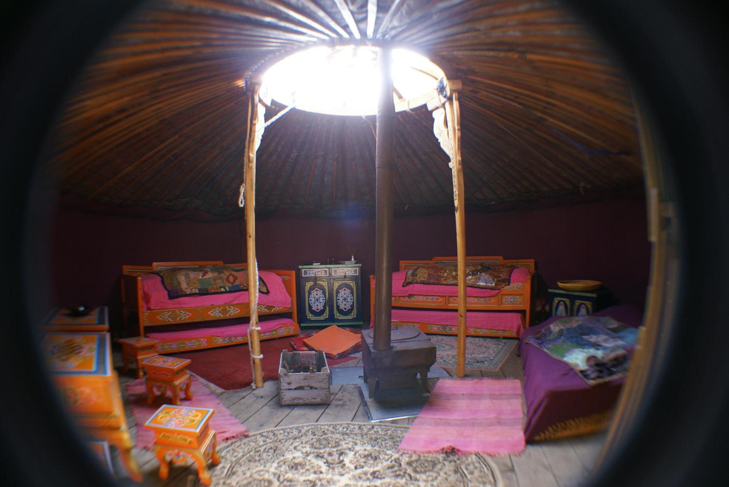 Photo 7