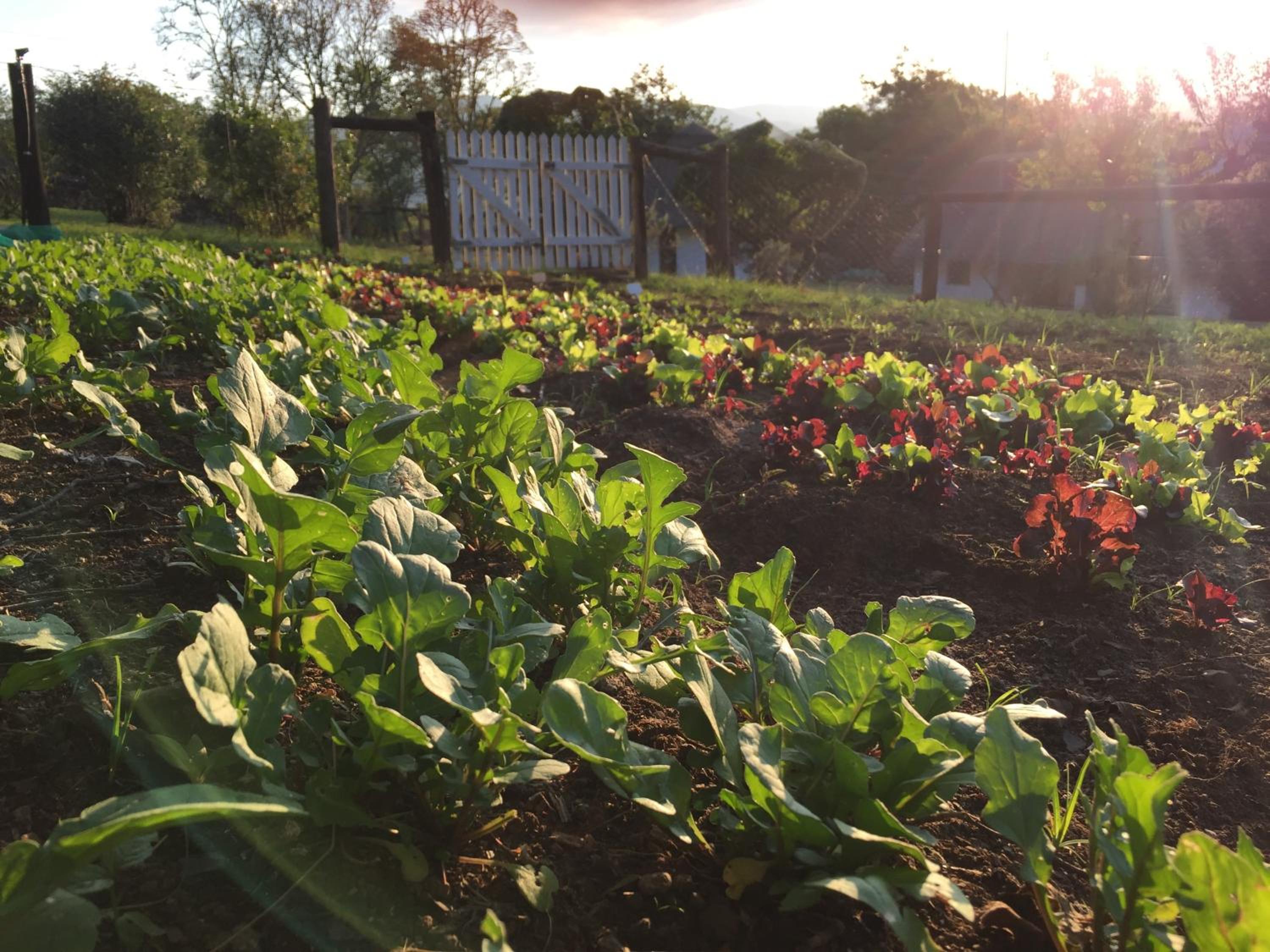 Bramleigh Farm