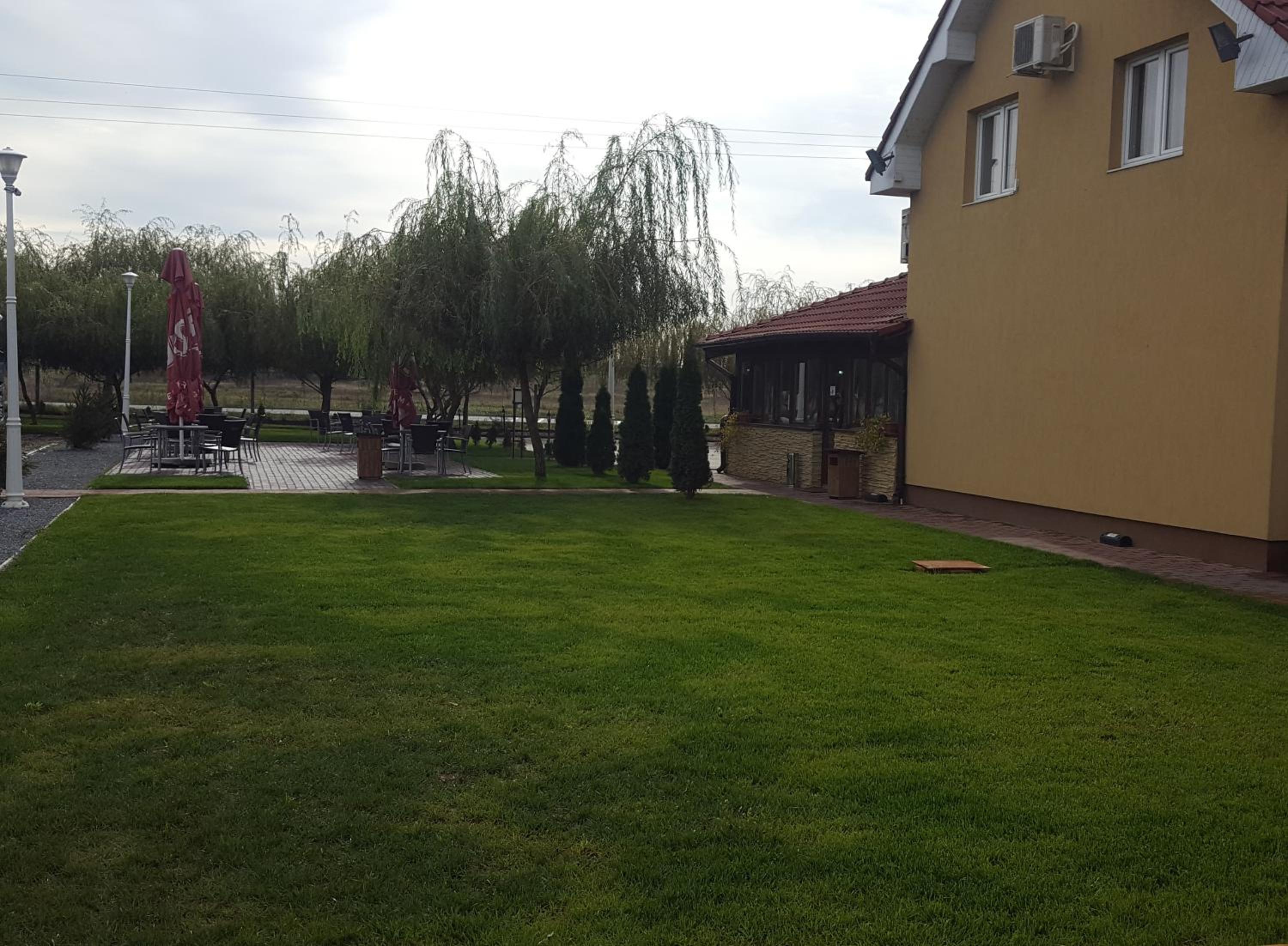 Photo 11