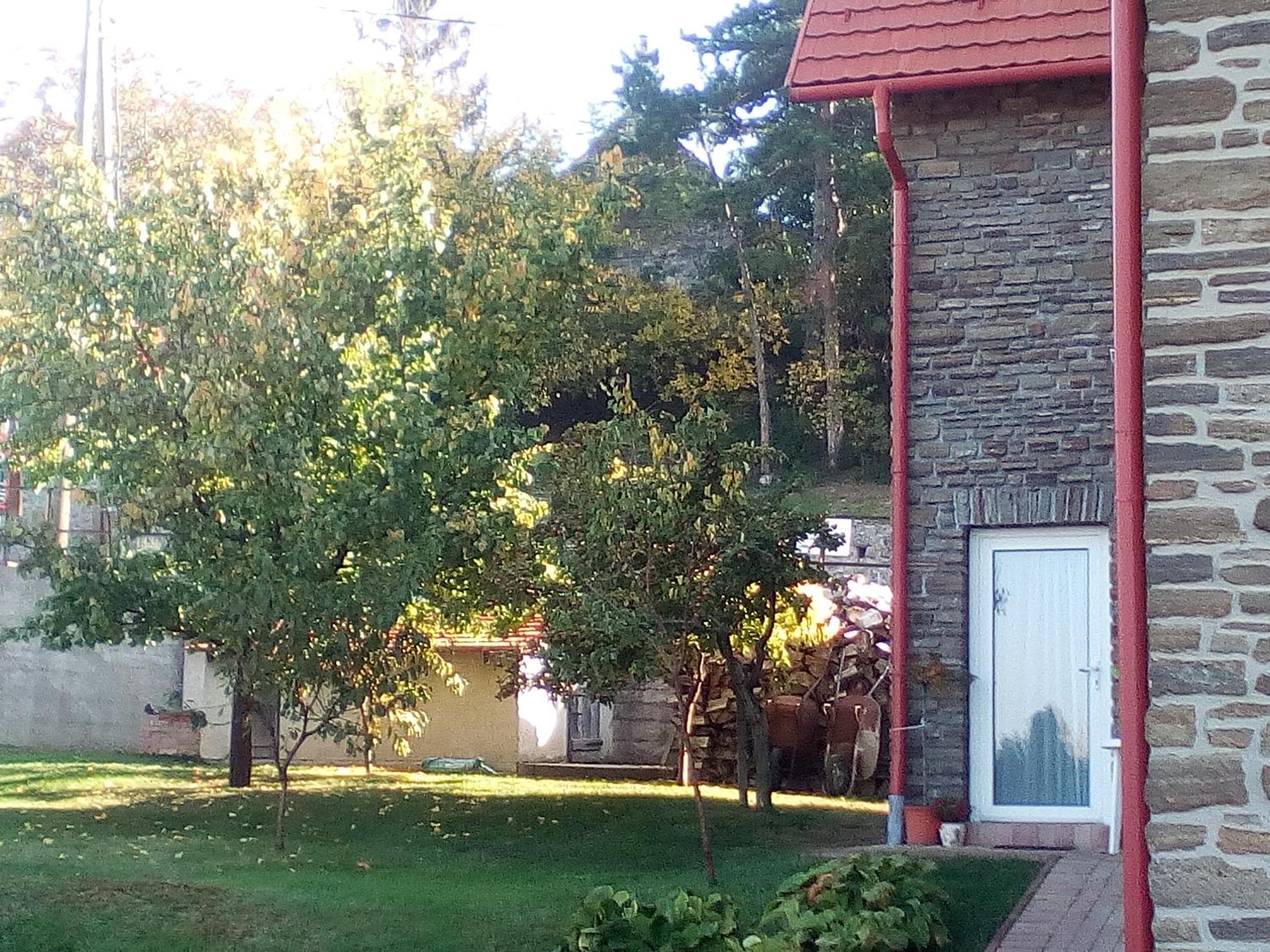 Photo 17